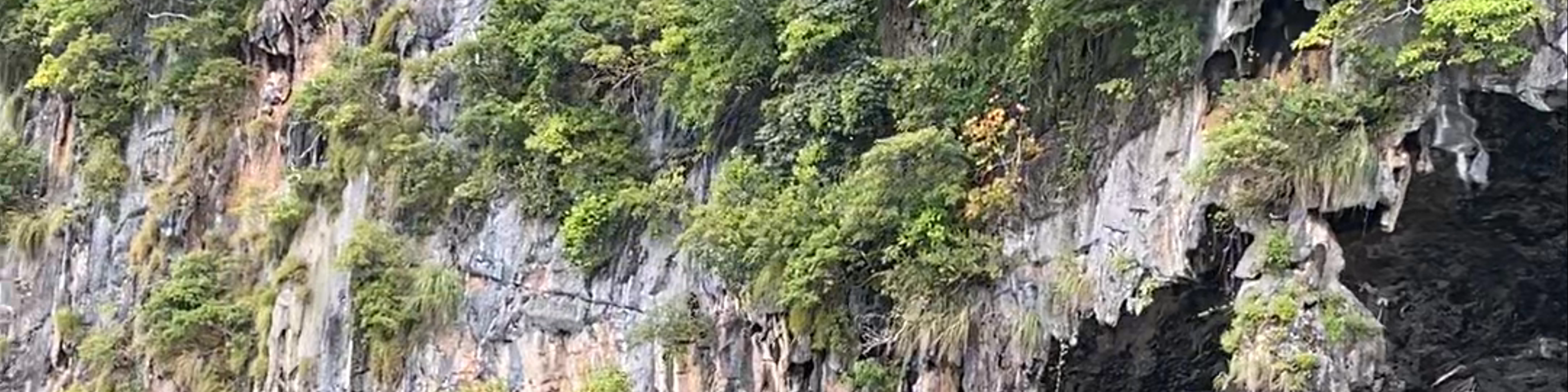 Krabi