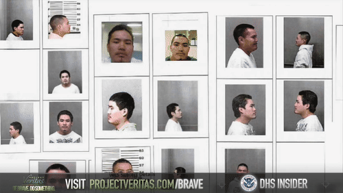 Video Thumbnail Loop