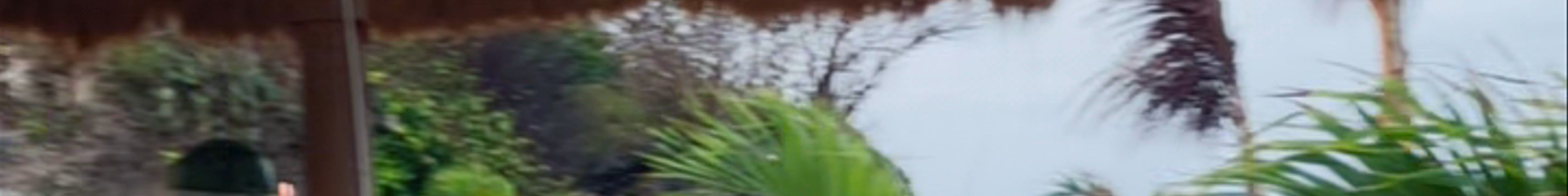 Tours & experiences in Amlapura