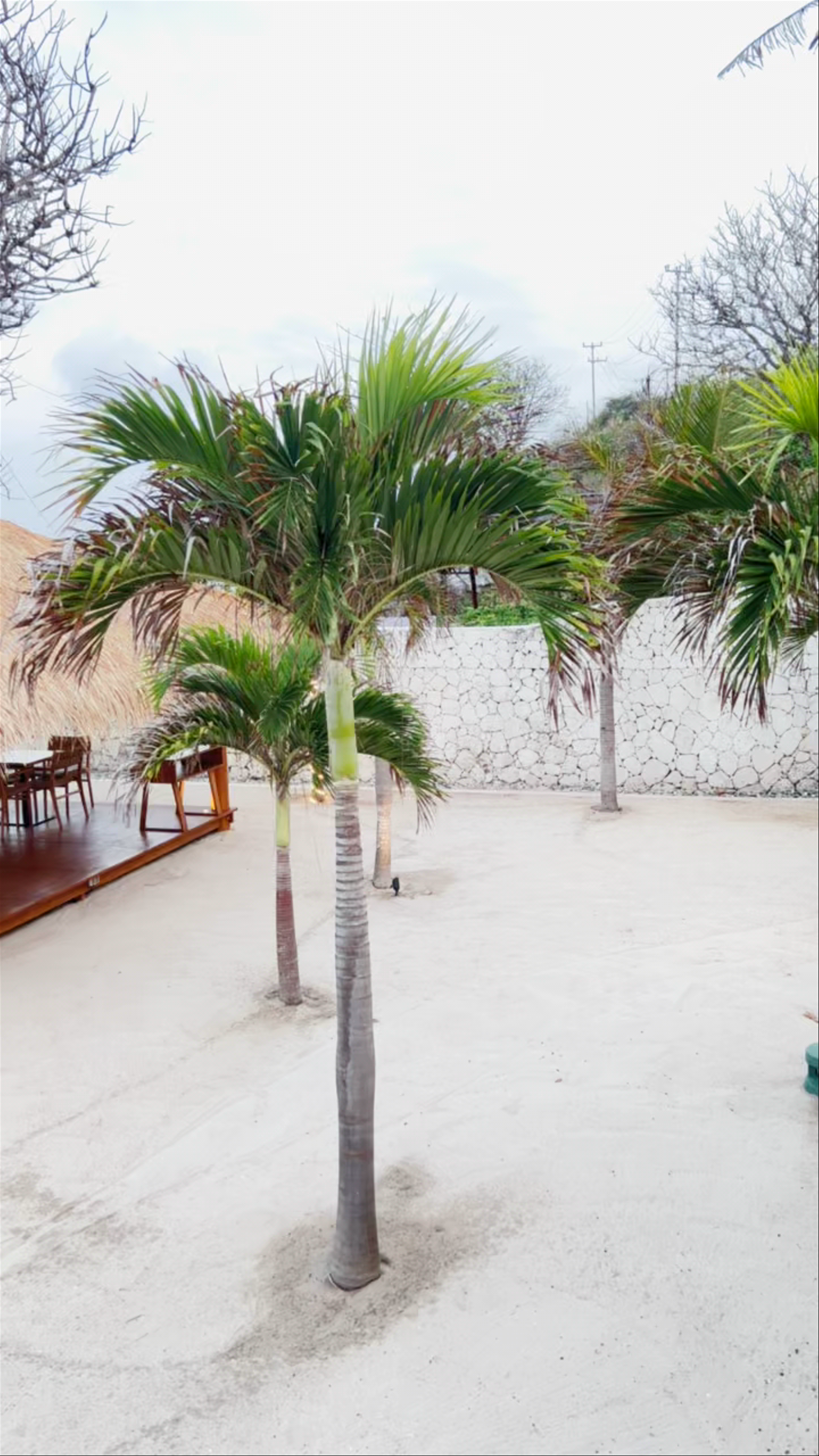 Cactus Beach Club & Restaurant