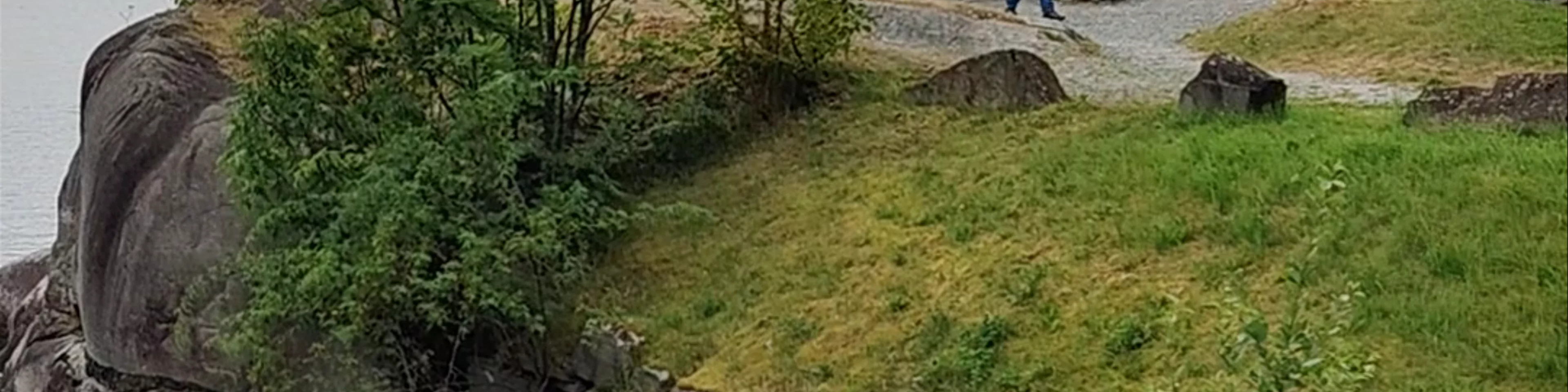 Tyrvefjøra