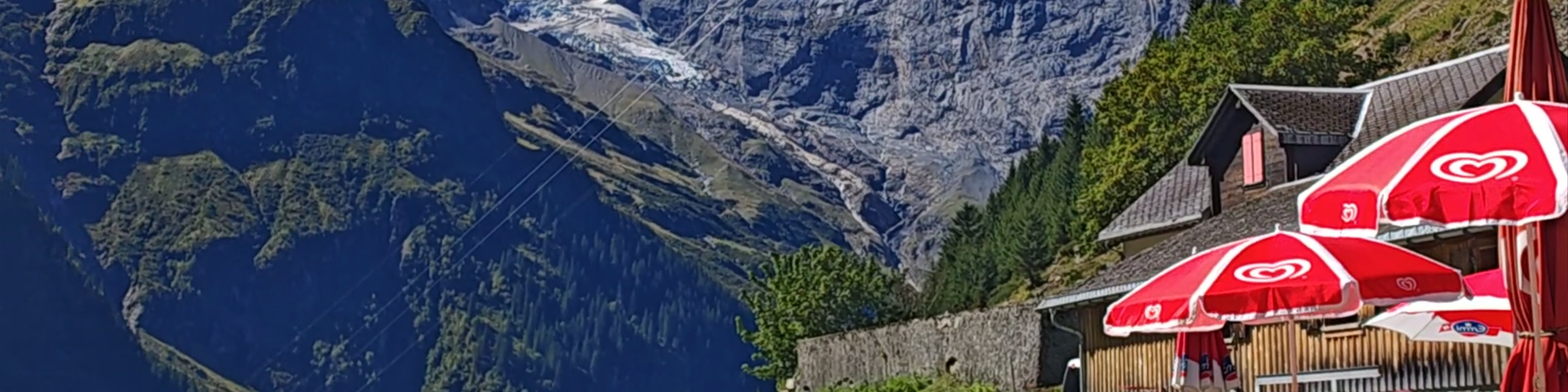 Uri