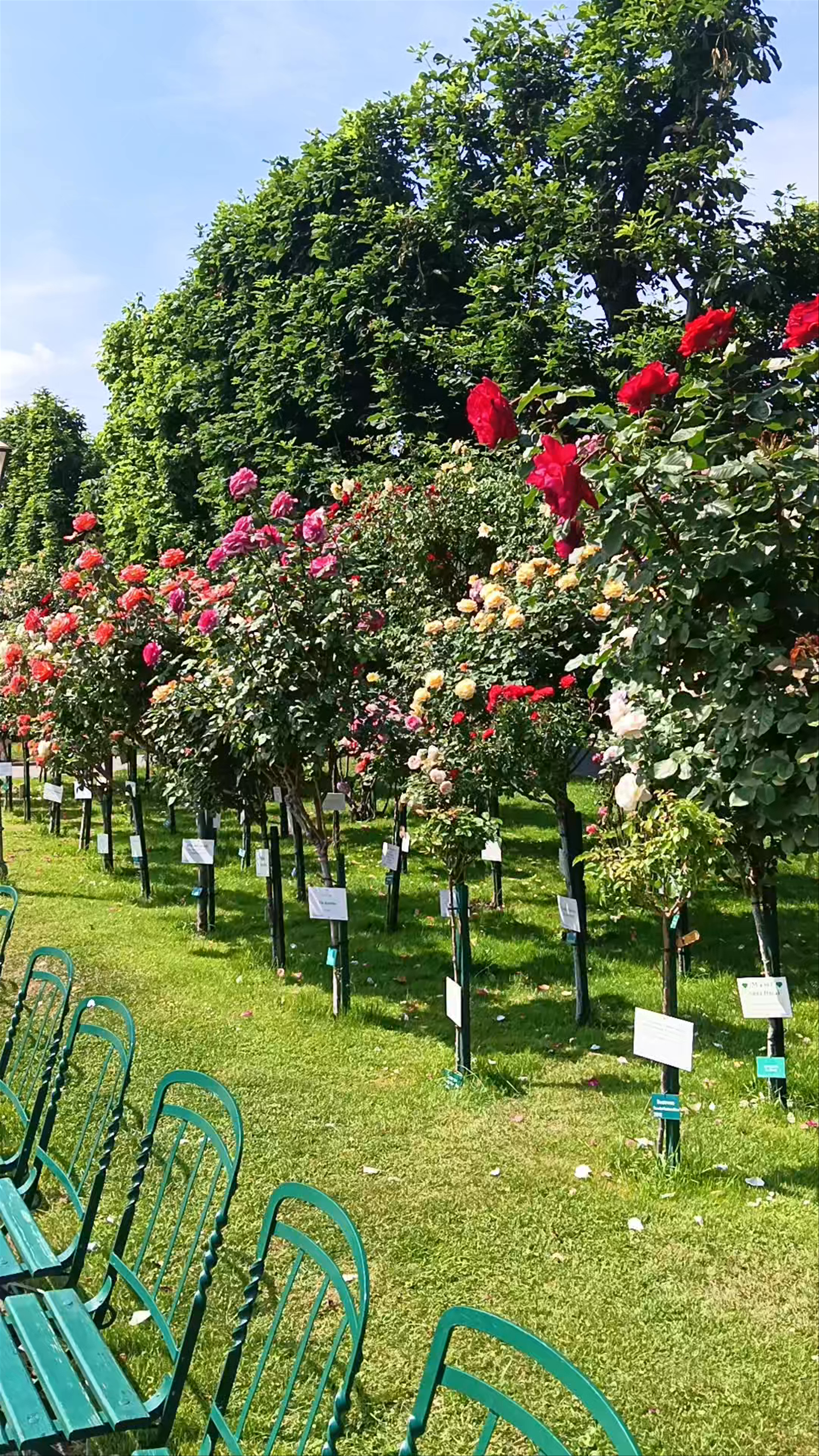 Volksgarten