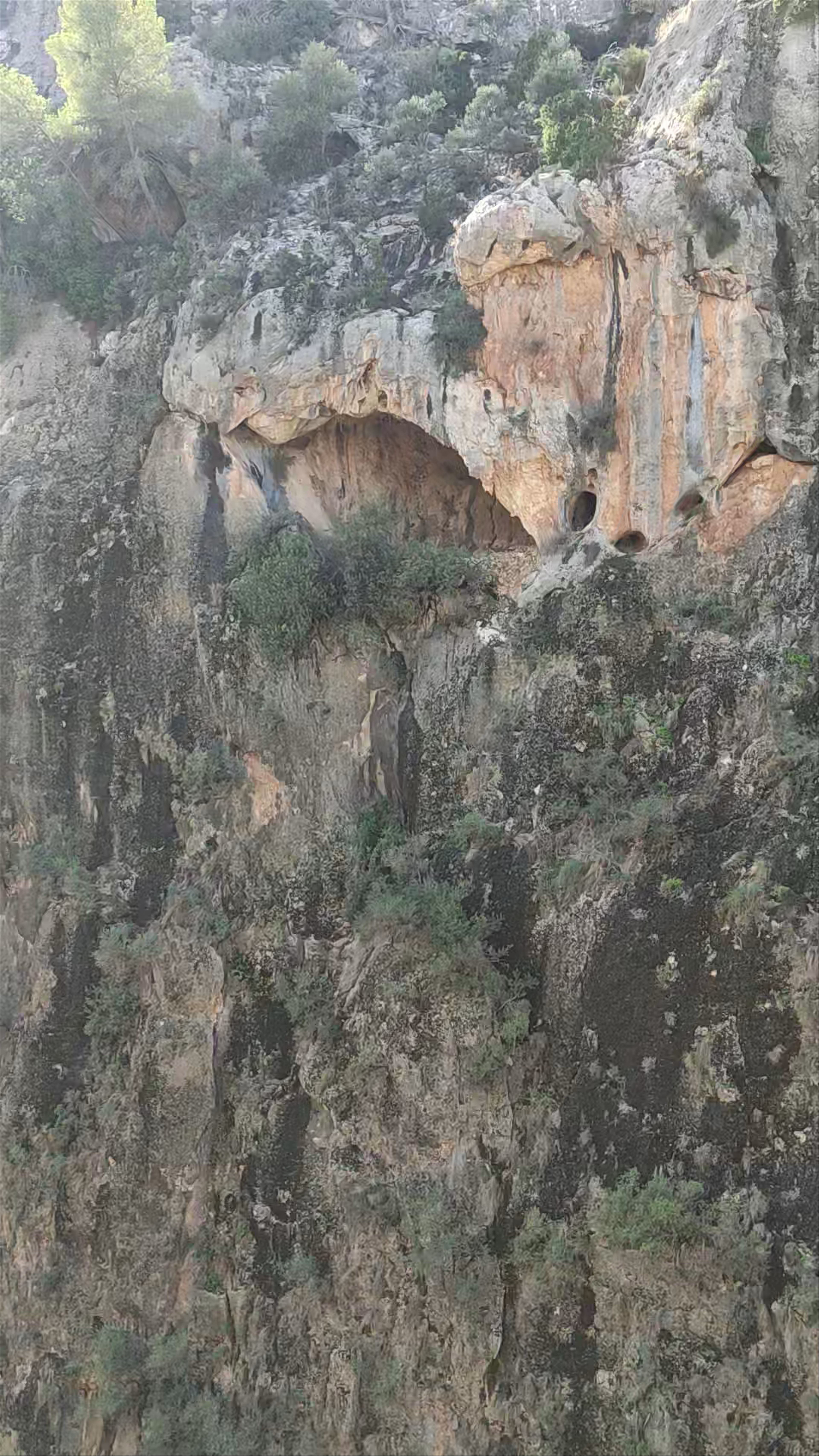 Cañón de Almadenes