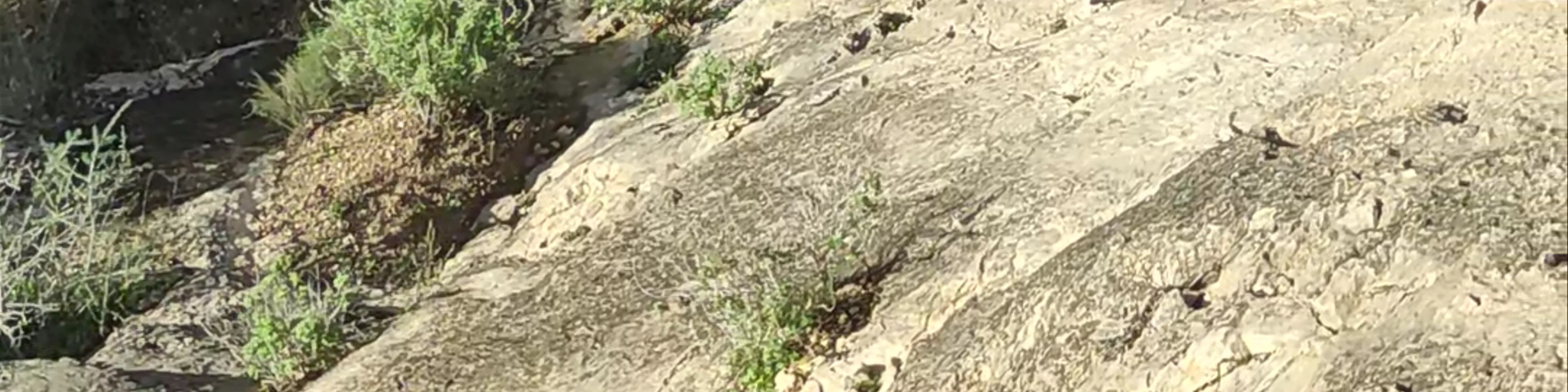 Cañón de Almadenes