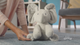 GUND - Flappy Elephant - Interactive Plush video - thumbnail
