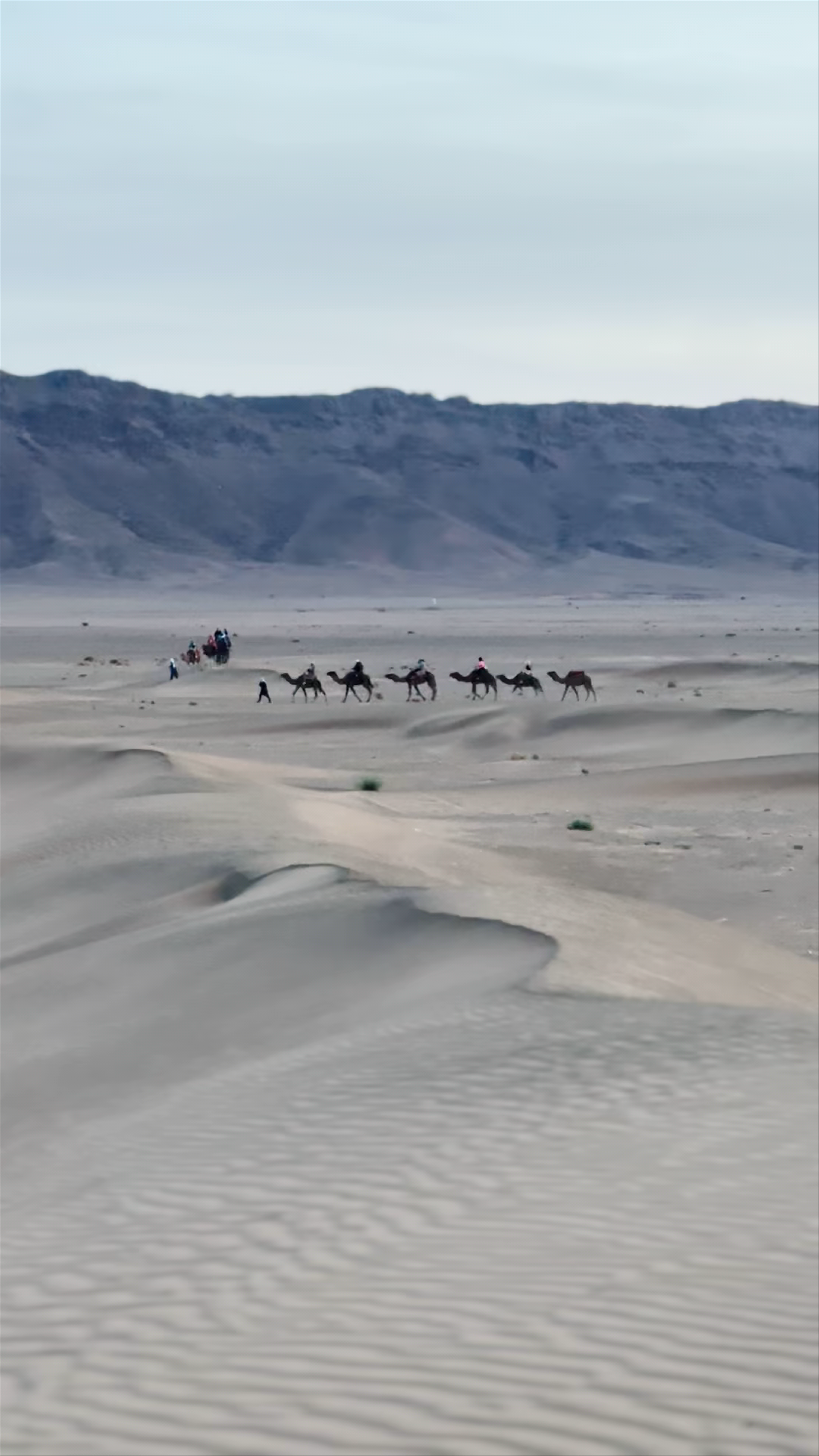 Sahara Luxury Camp، Merzouga