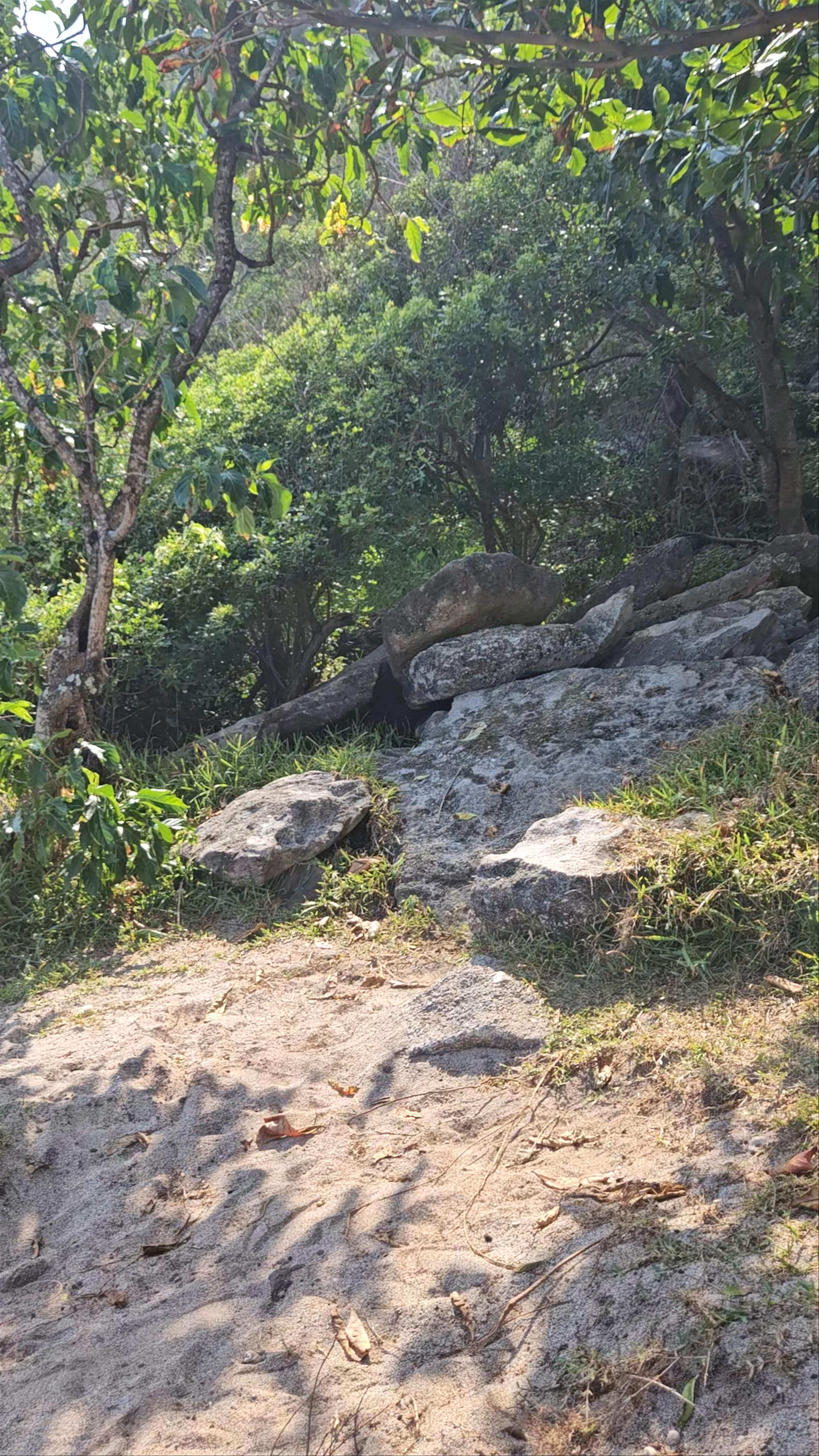 Plage Grande Anse Cove