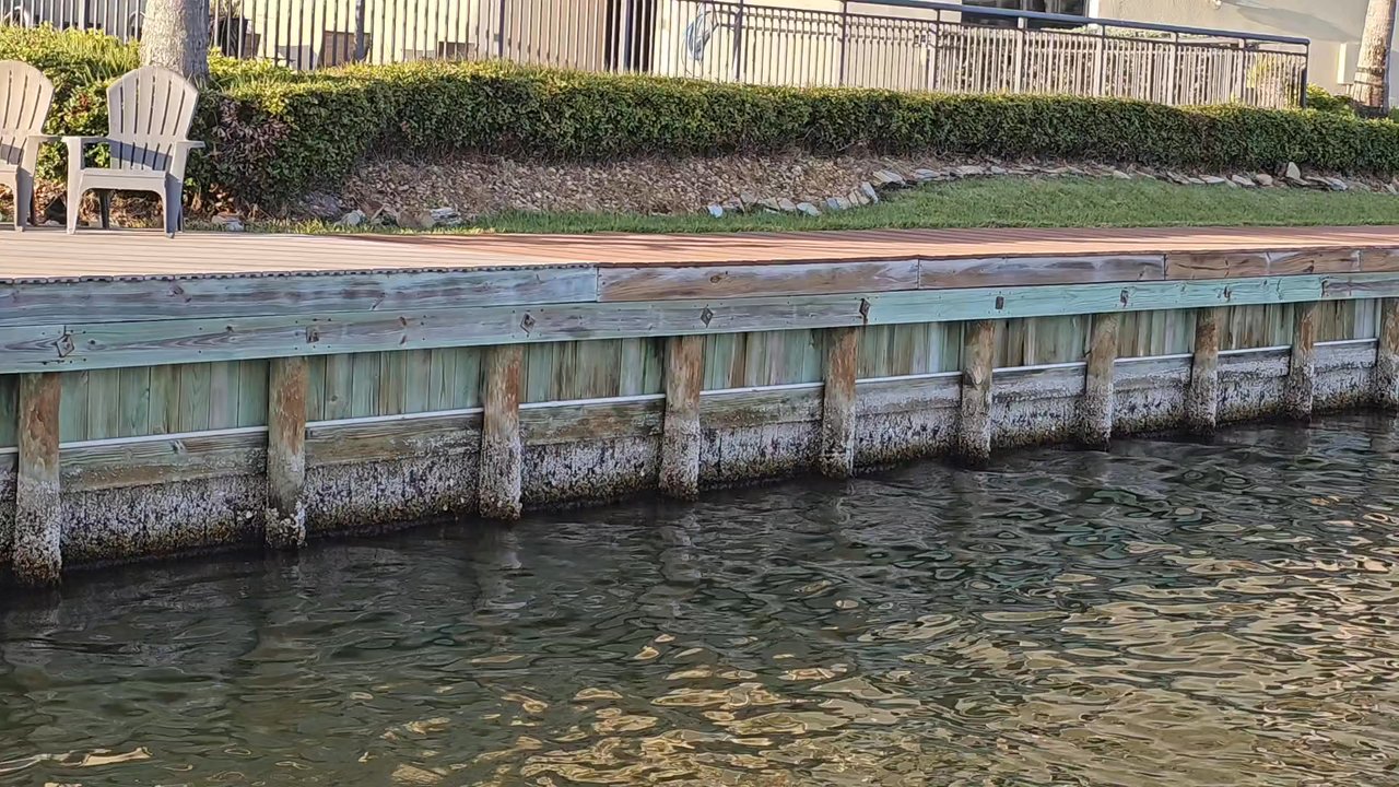 Cocoa Beach Dolphin Tours - Boating Near Me - Cocoa Beach, Florida