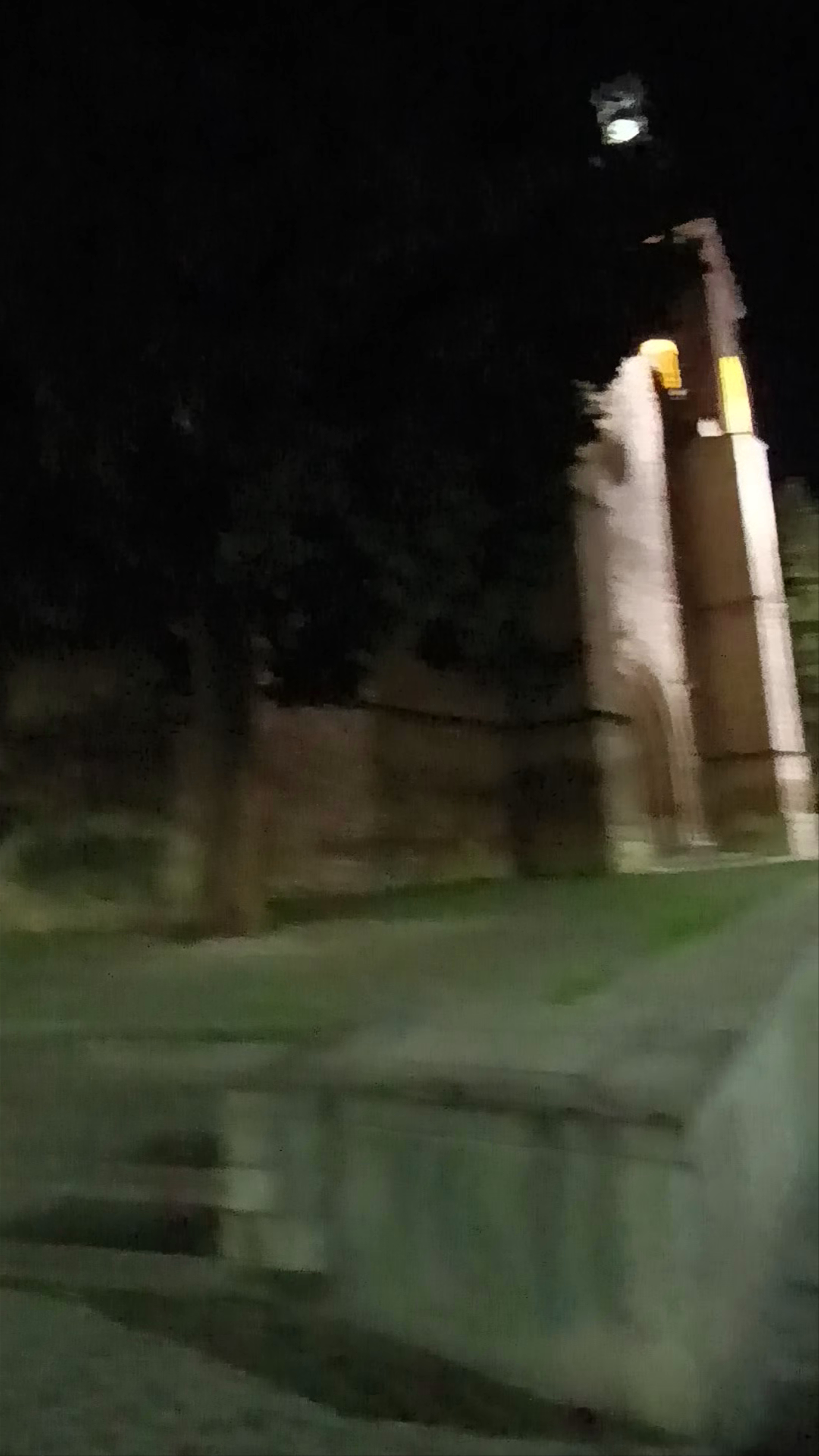 Iglesia de San Pedro