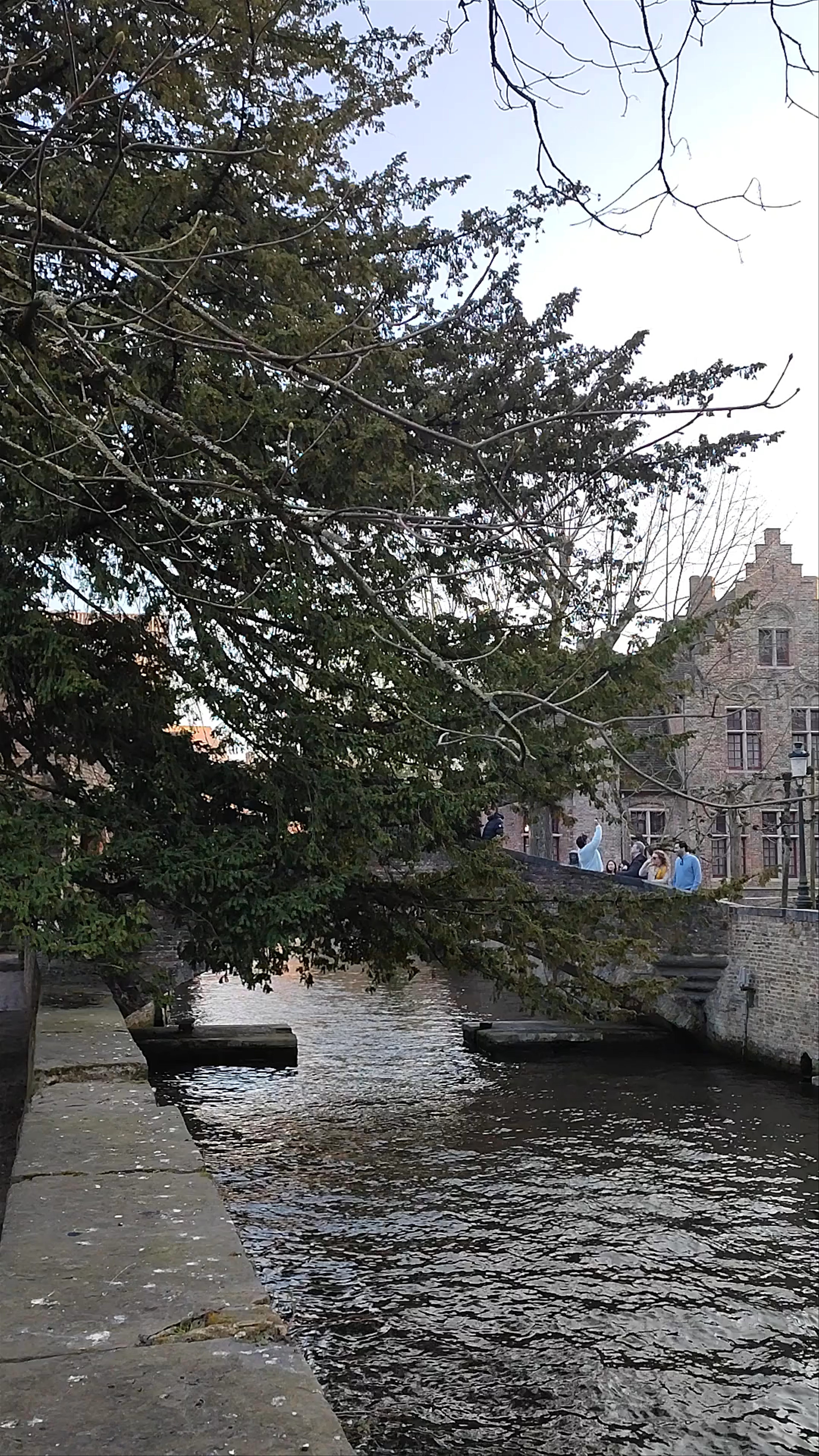 Bonifacius Bridge