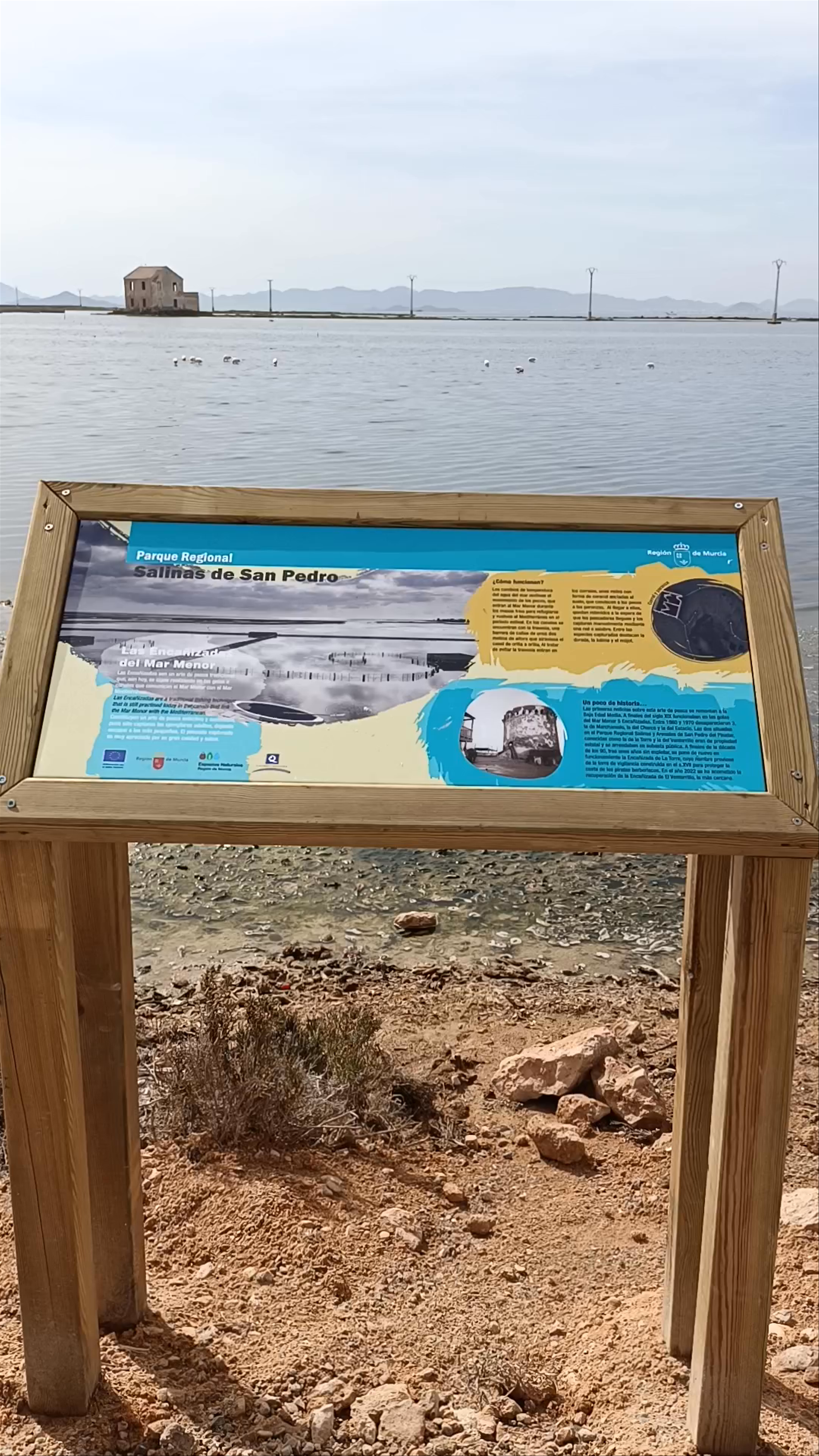 Salinas de San Pedro: Serene Coastal Nature in Murcia