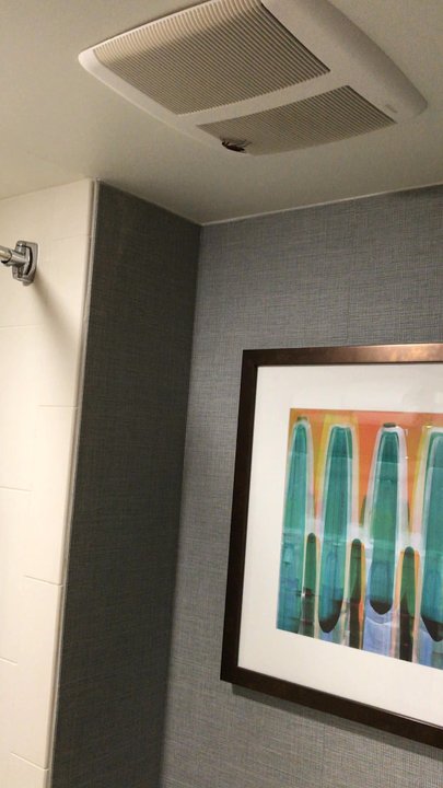 Hyatt Place Fort Worth/Hurst - HUGE cockroach in bathroom. - Hotels Near Me - Hurst, Texas