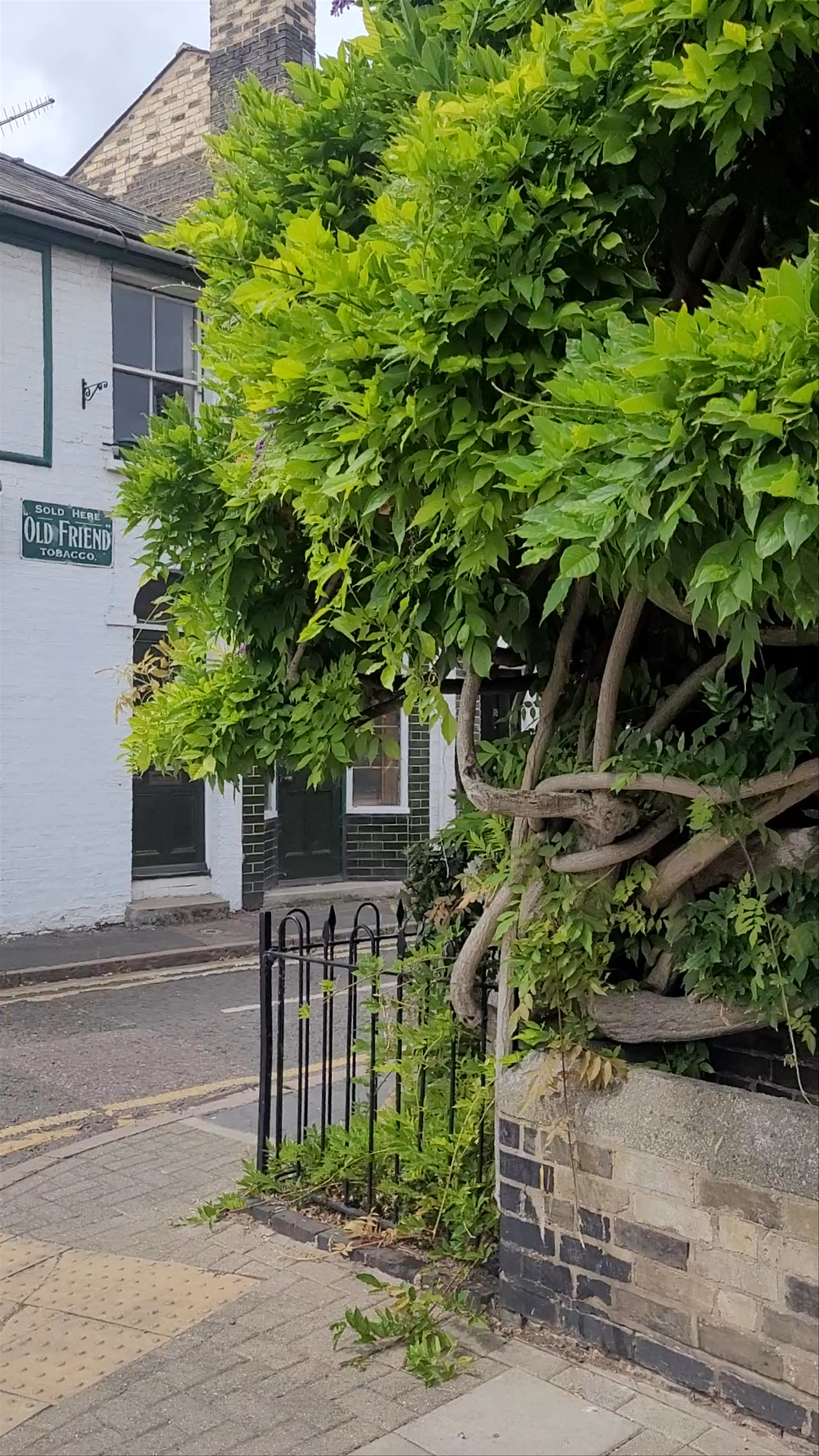 Orchard Street