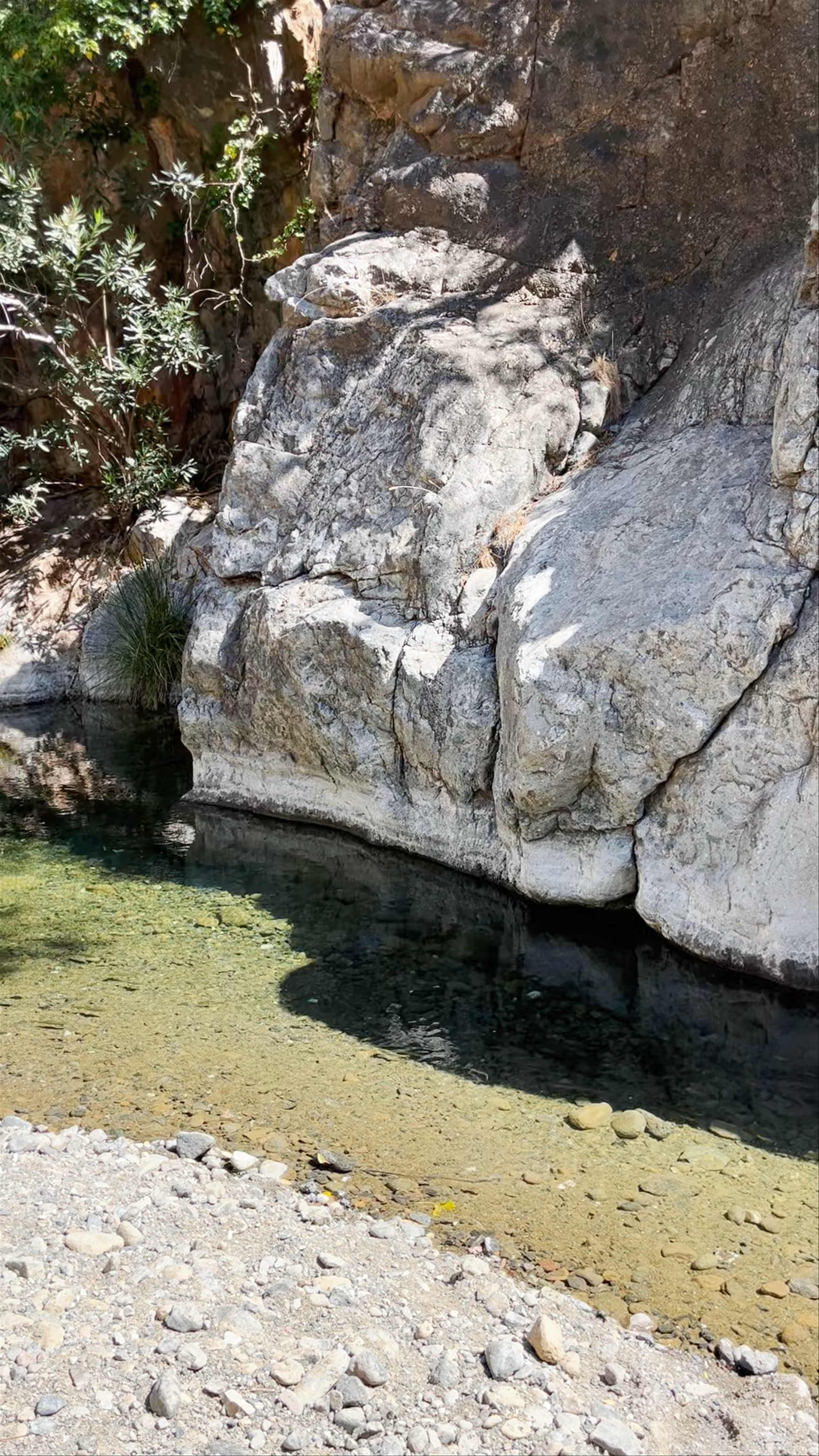 Charca de las Nutrias