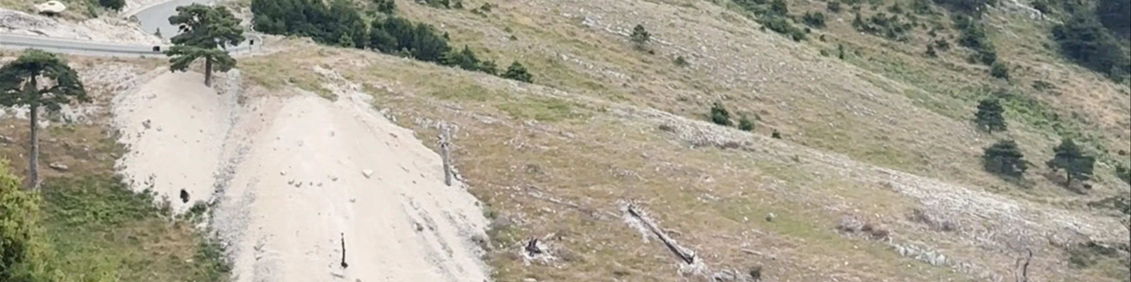 View point