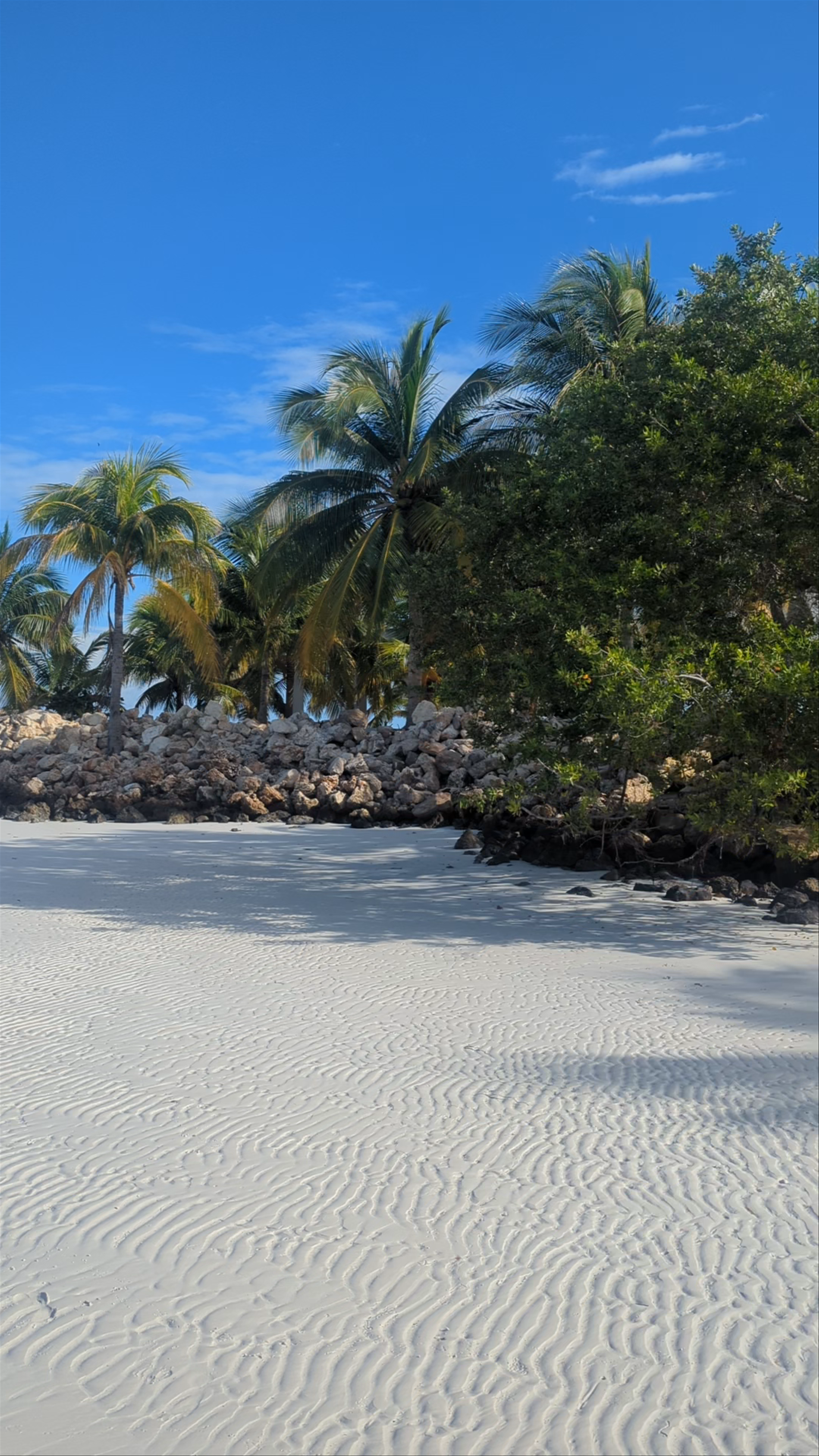 Playa Punta Cocos Cove