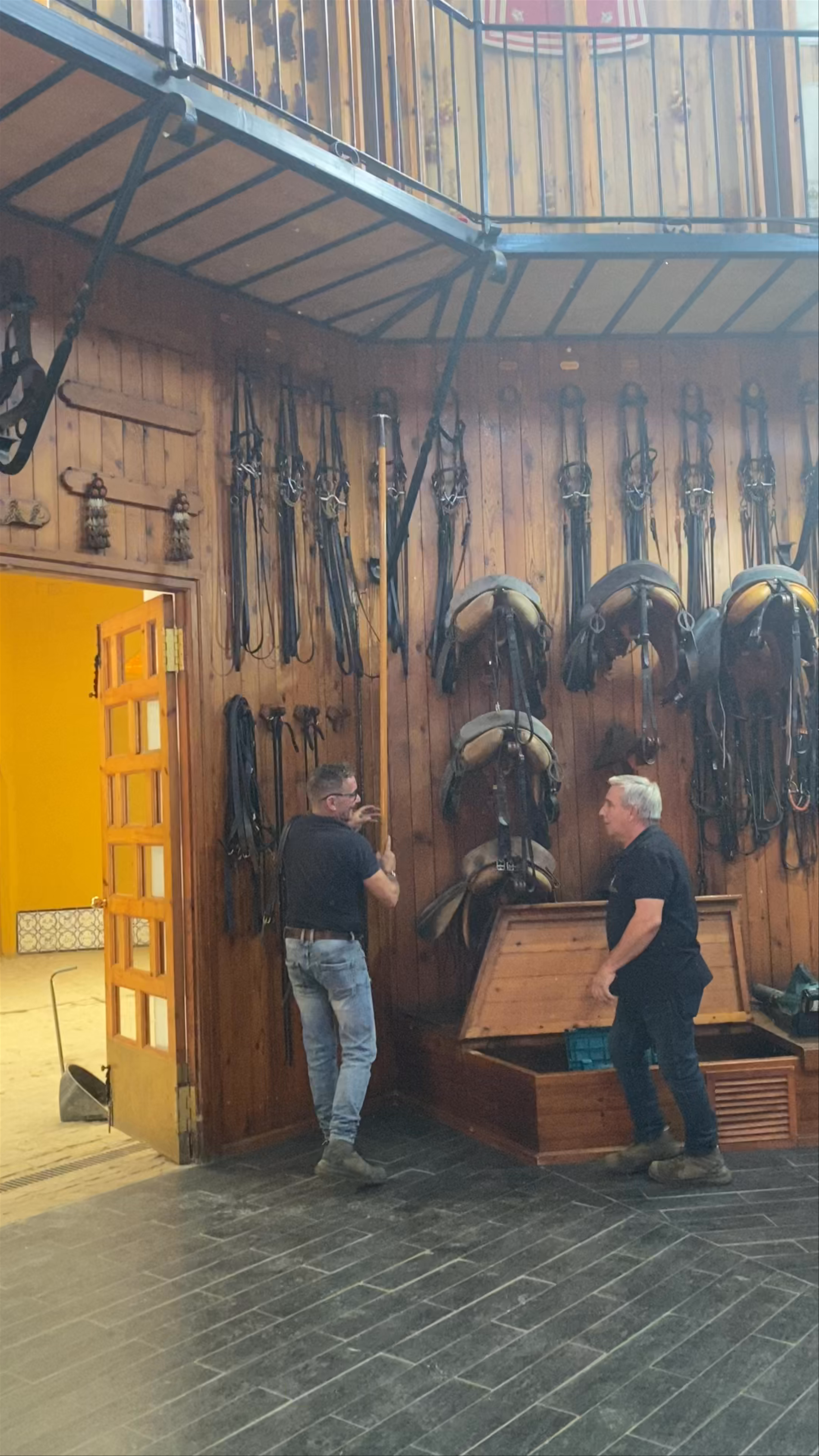 Mastering the Art of Andalusian Horse Tack at Real Escuela Andaluza del Arte Ecuestre