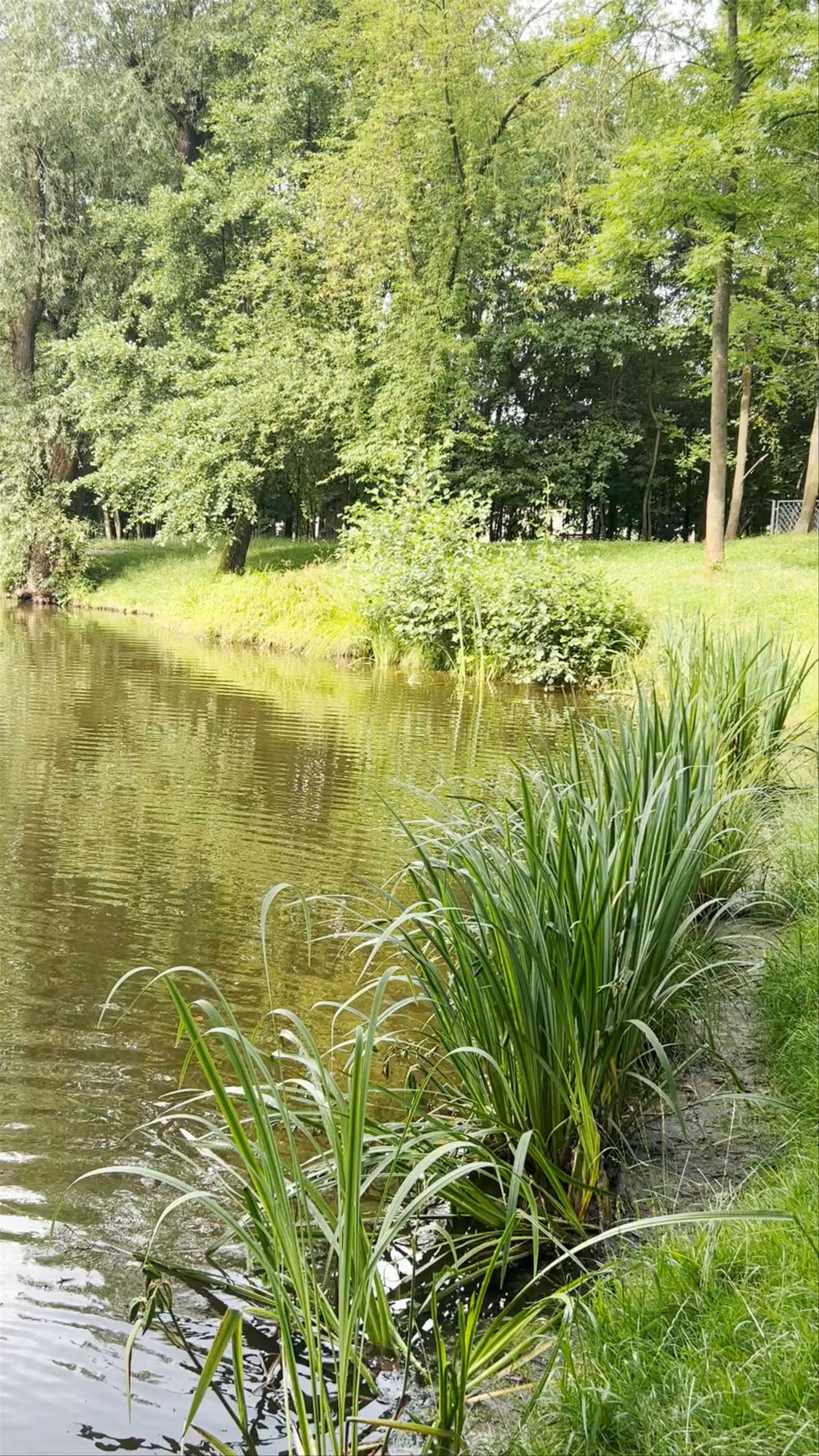 Park Duchacki