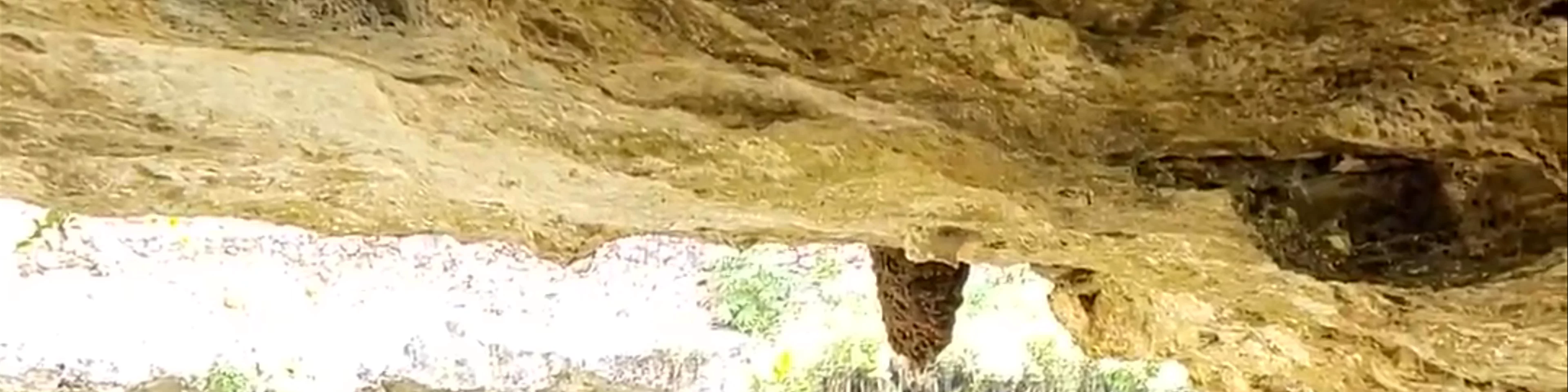 Hacienda Cenote Oxmán