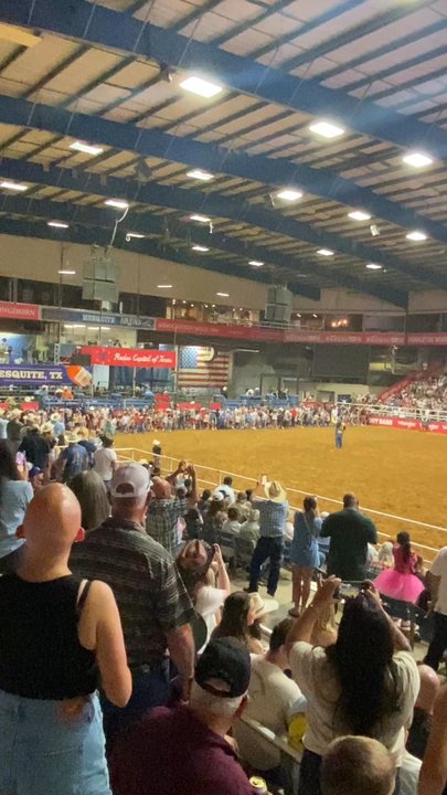 Mesquite Championship Rodeo - Audience members trying to grab a shirt off a baby cow. lol - Amusement Parks Near Me - Mesquite, Texas