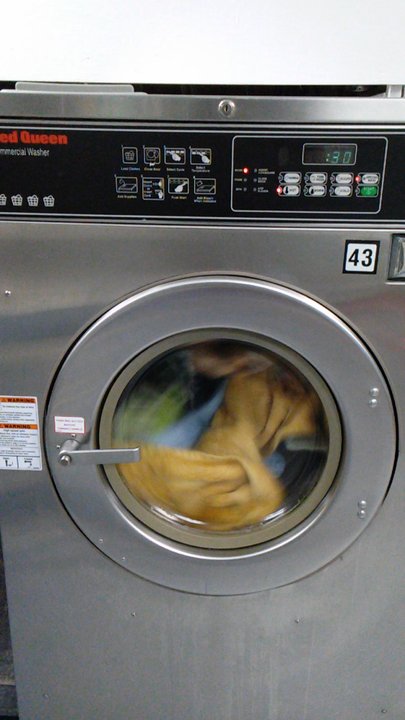 Ellie's Laundry - Laundromat Near Me - Memphis, Tennessee