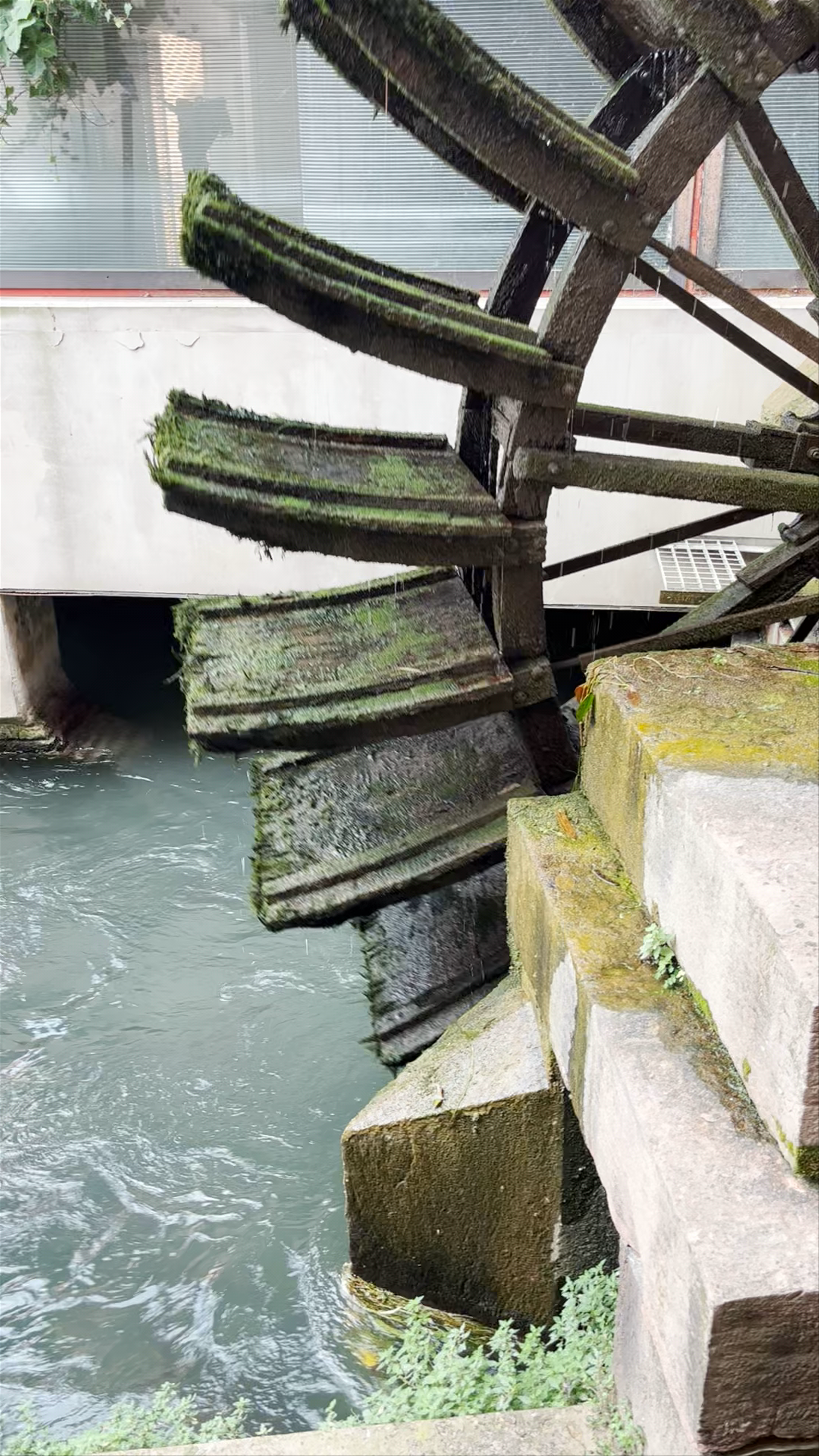 Ancient Water Wheel at Mulino Pescheria in Treviso, Italy