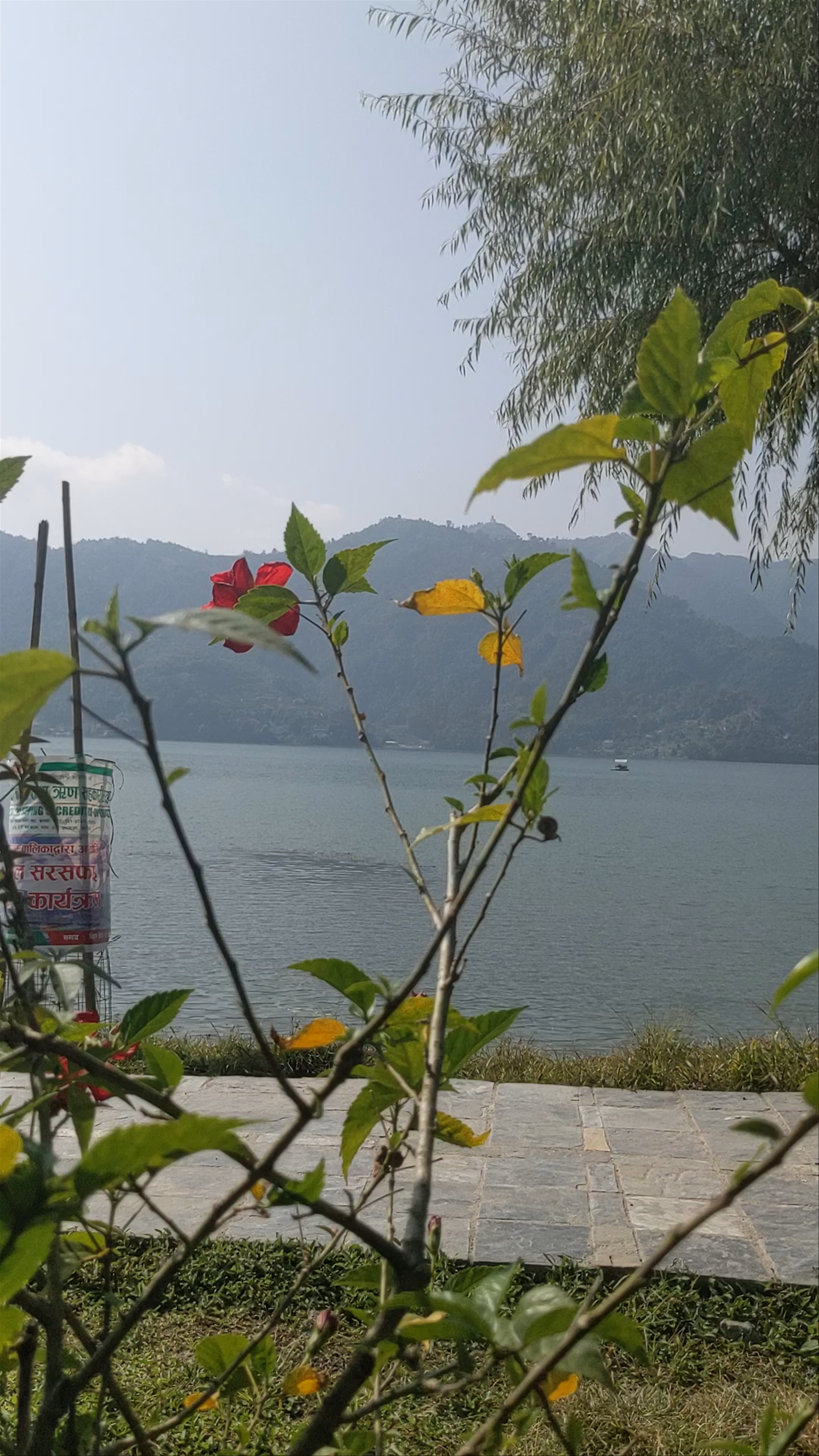 Rest Point cafe and bar