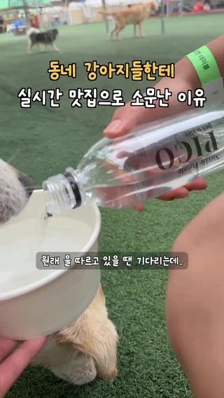 크리에이터 숏폼 영상