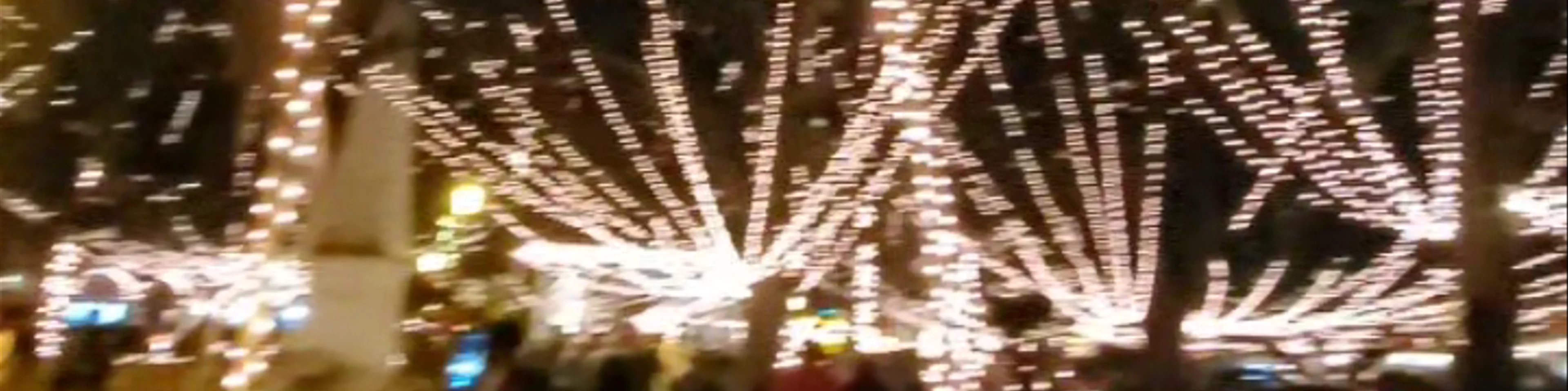 Nights of Lights