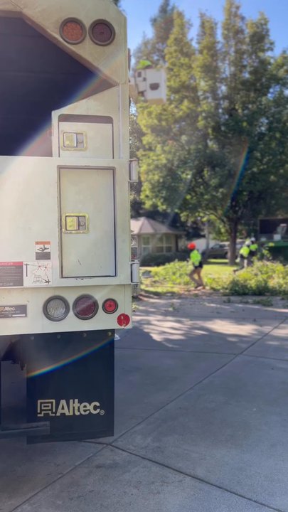 North Roots Tree Care - Quick and fast removal - Tree Services Near Me - Olivehurst, California