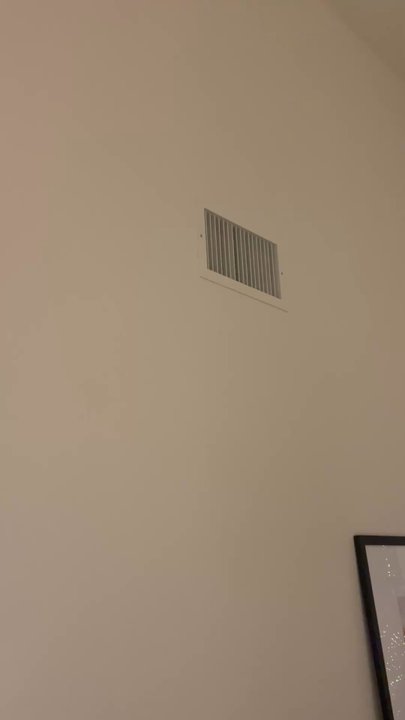 New Concept Property Management - Rats in walls - Property Management Near Me - Tucson, Arizona