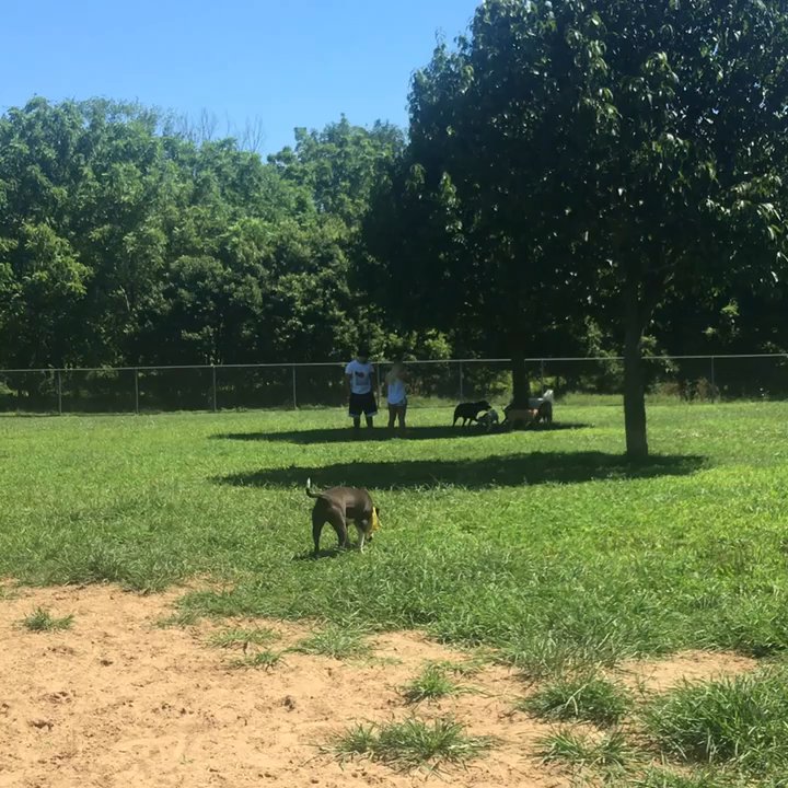 Thompson Dog Park - Dog Parks Near Me - Middletown, New Jersey