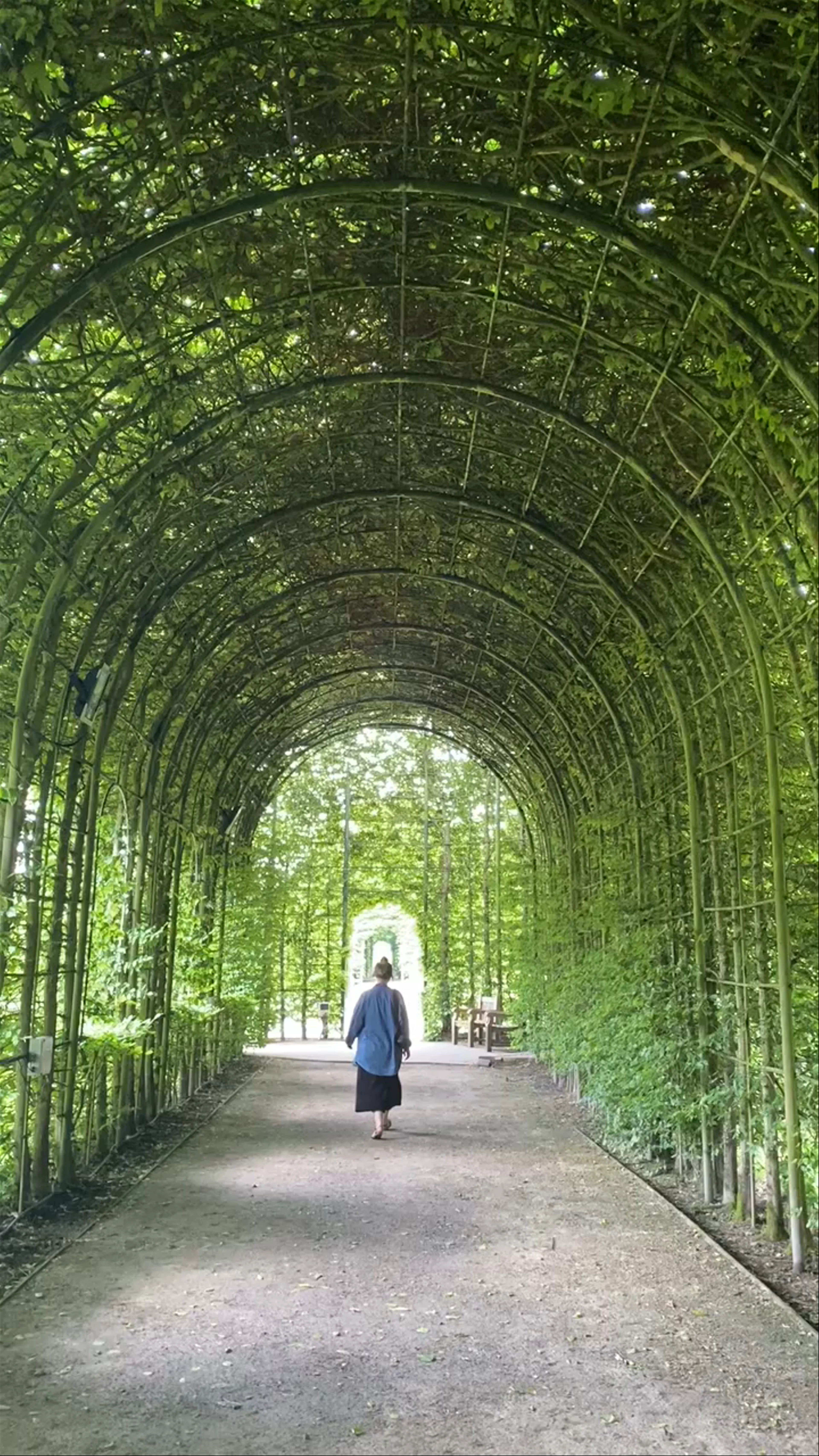 The Alnwick Garden, Bondgate Without