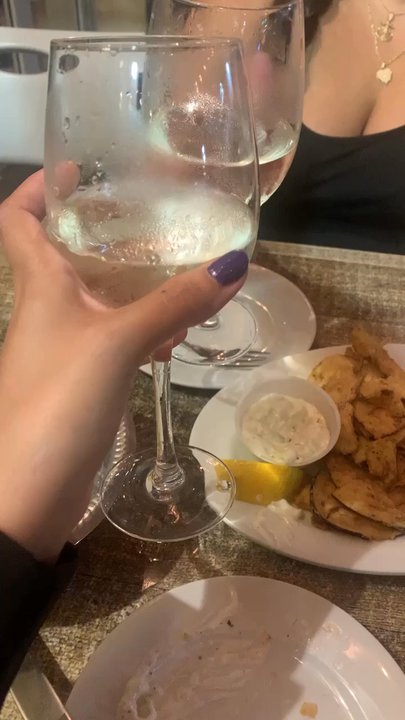 Sofia's Mediterranean Grill - Byob and fried zucchini and eggplant - Greek Near Me - Hasbrouck Heights, New Jersey