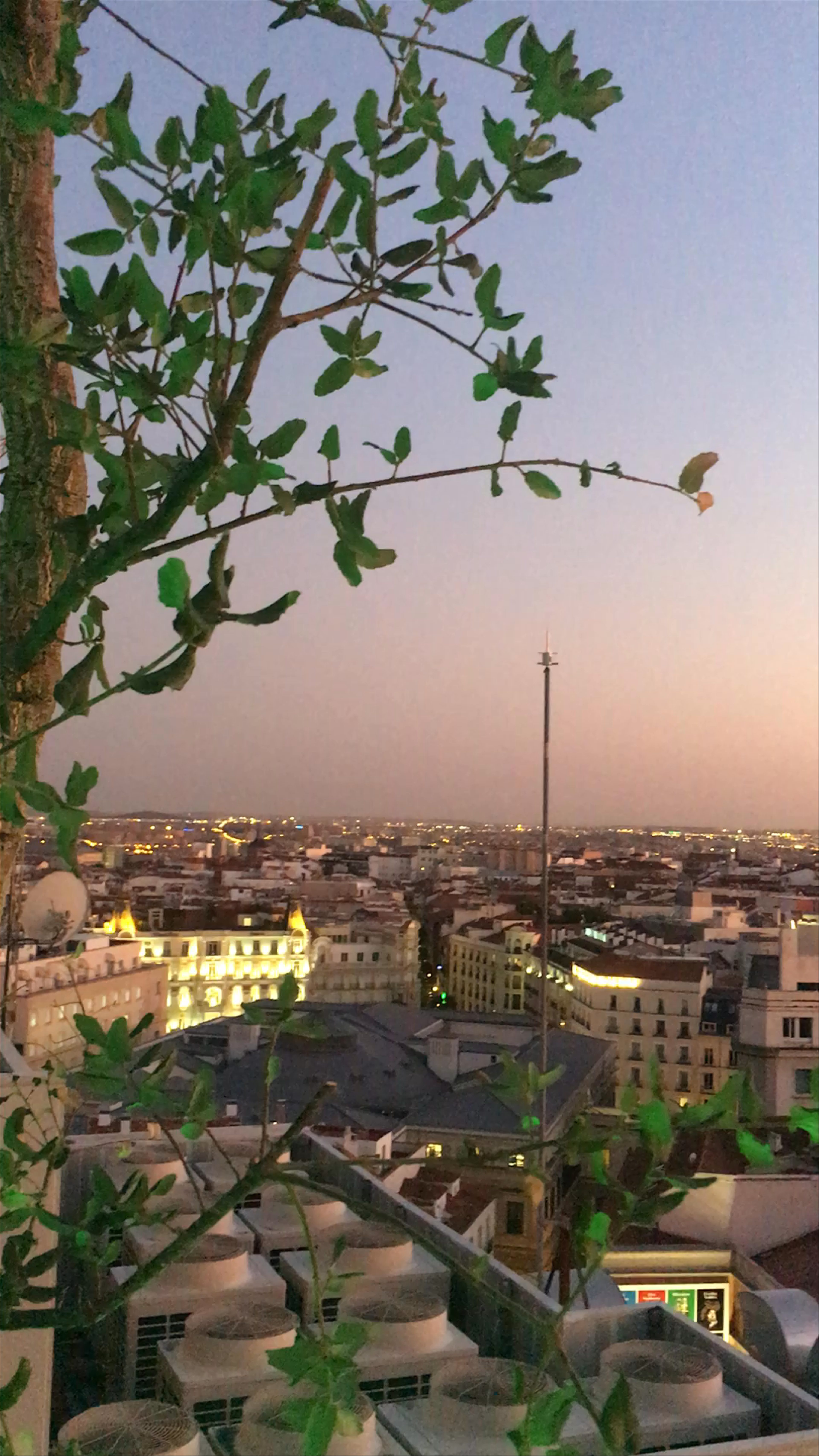 Círculo de Bellas Artes