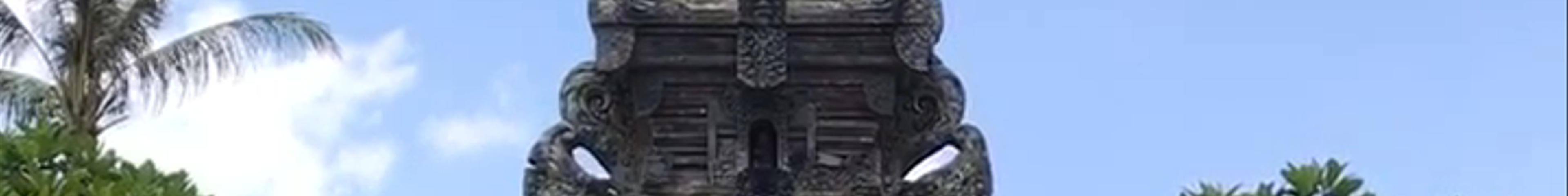Tours & experiences in Ubud