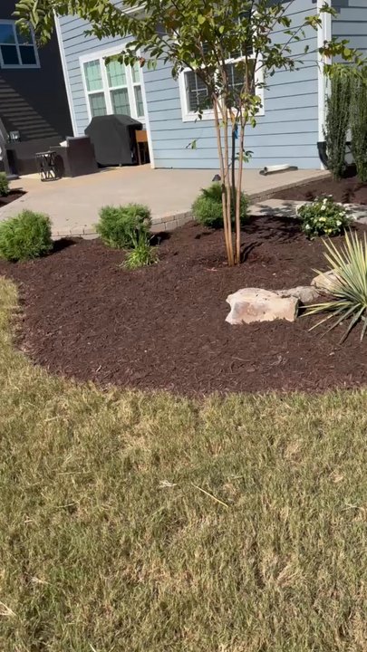 Markham Visuals - Total transformation - Landscape Architects or Designers Near Me