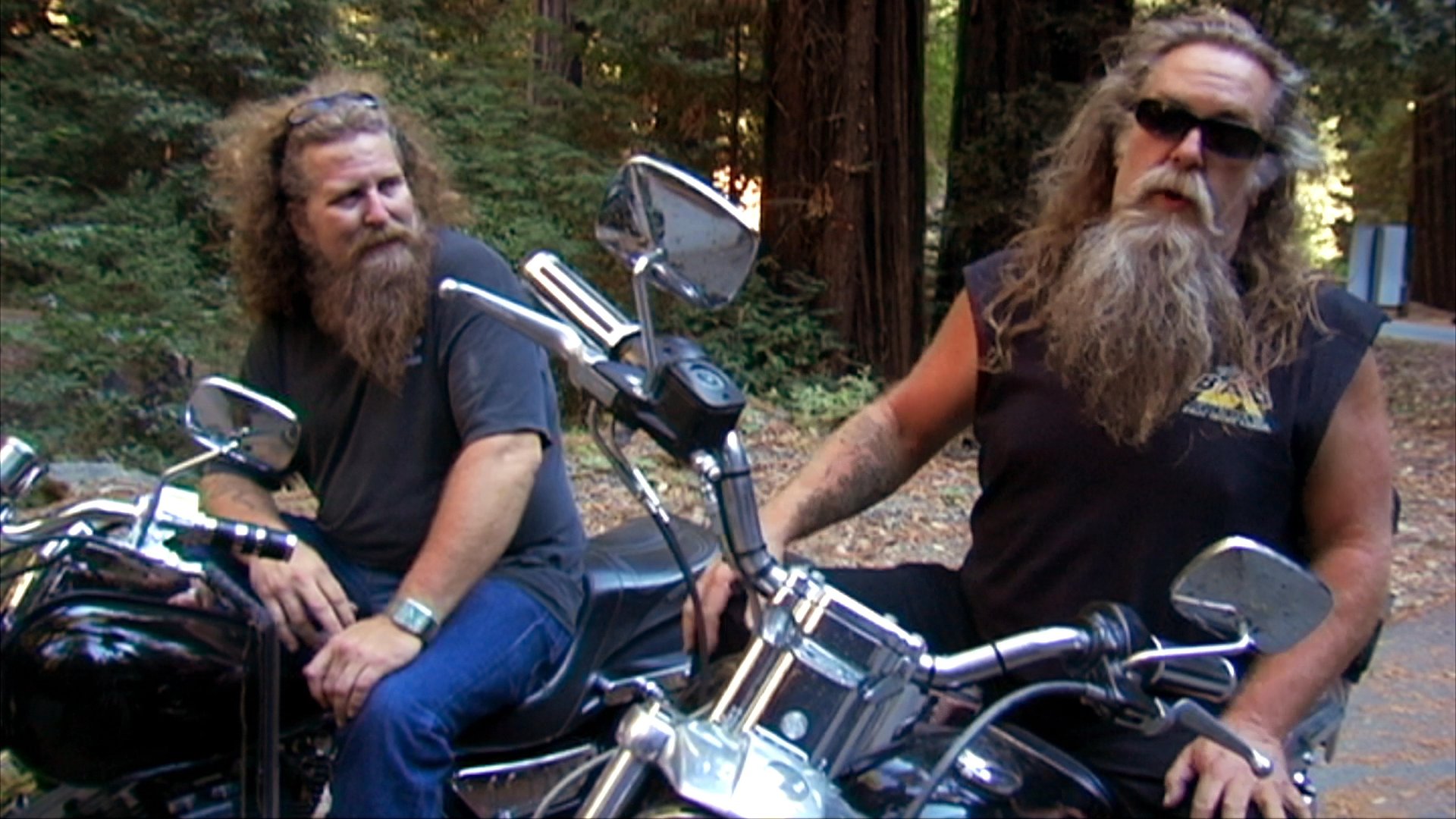 A man with a long beard discusses his experiences while seated on a motorcycle in a redwood forest, followed by a separate musician performing with an acoustic guitar and harmonica.