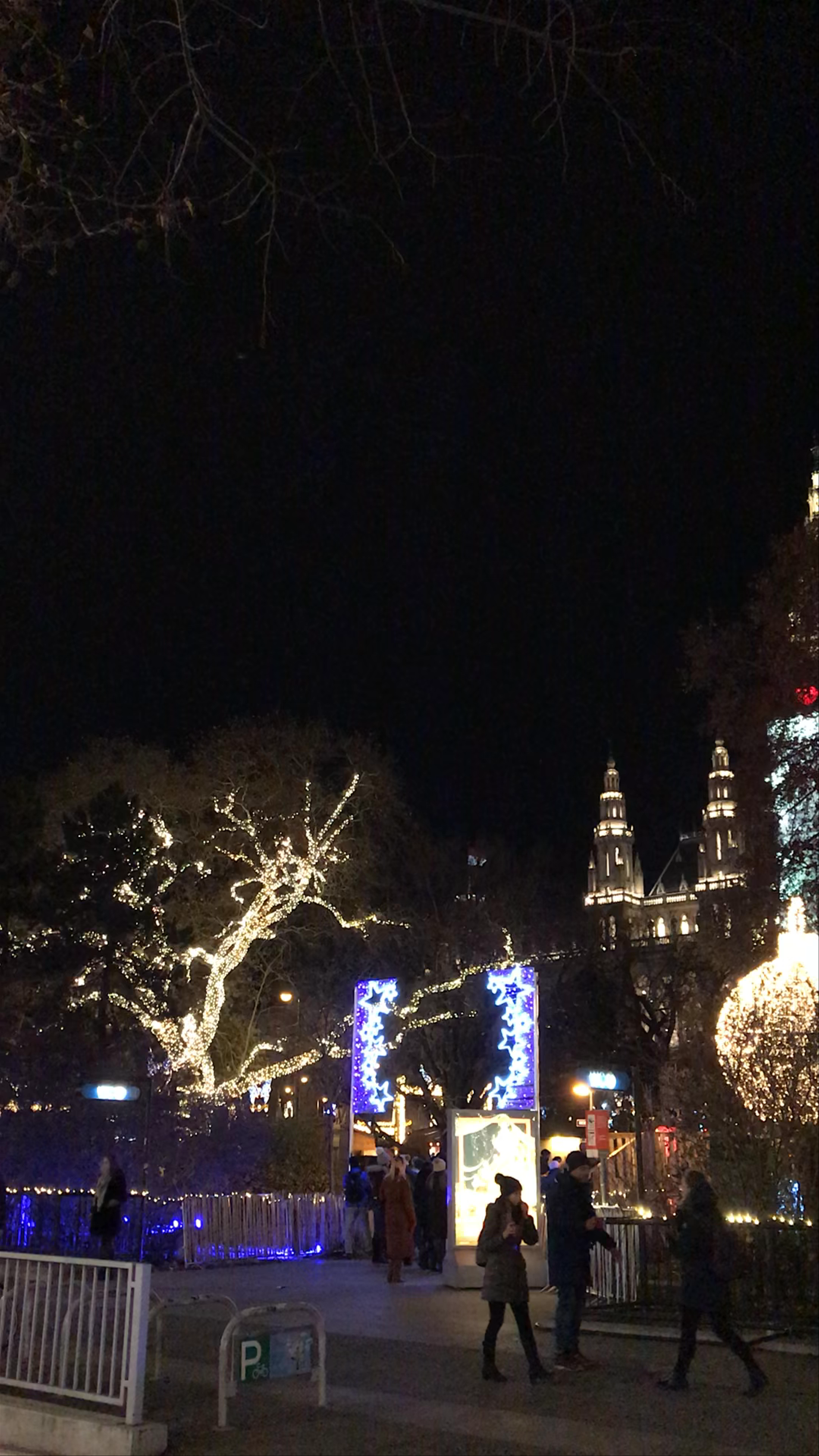 Winter Evening Lights at Vienna Rathaus