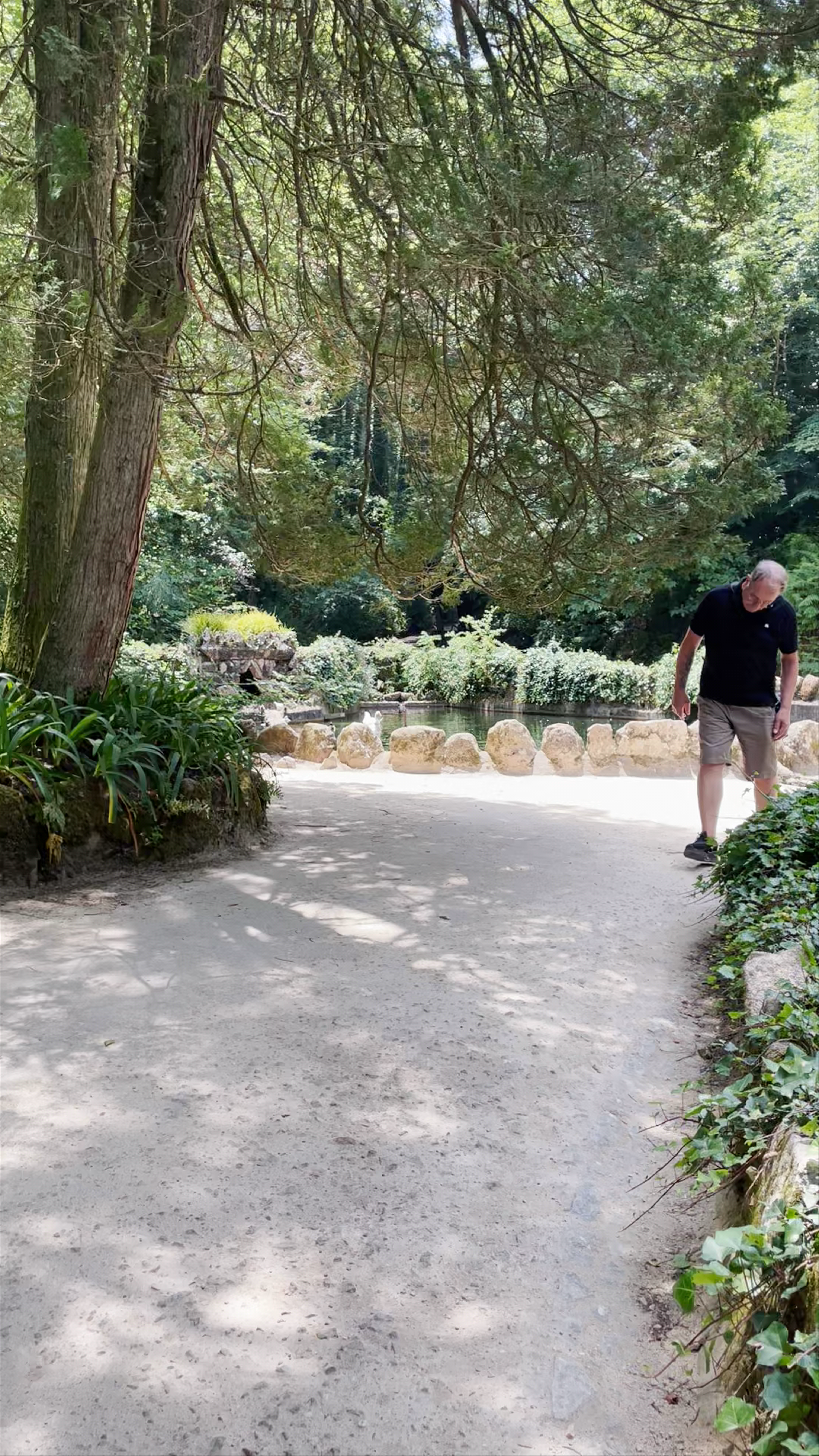 Tranquil Forest Walk in Parque Nacional da Pena, Sintra
