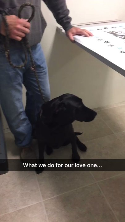 Pet Medical Center - Veterinarians Near Me - Ames, Iowa
