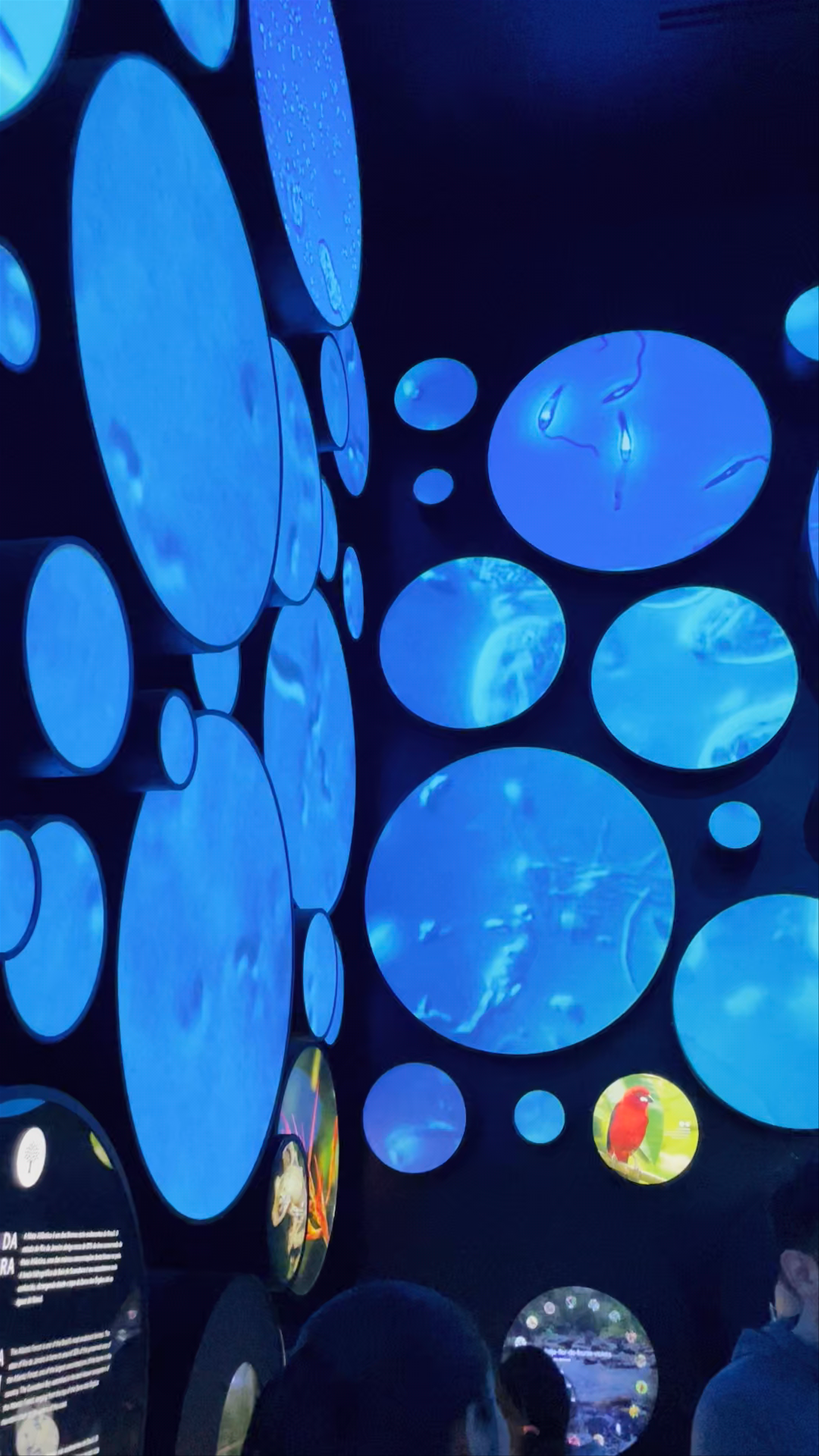 Museu do Amanhã - Praça Mauá - Centro