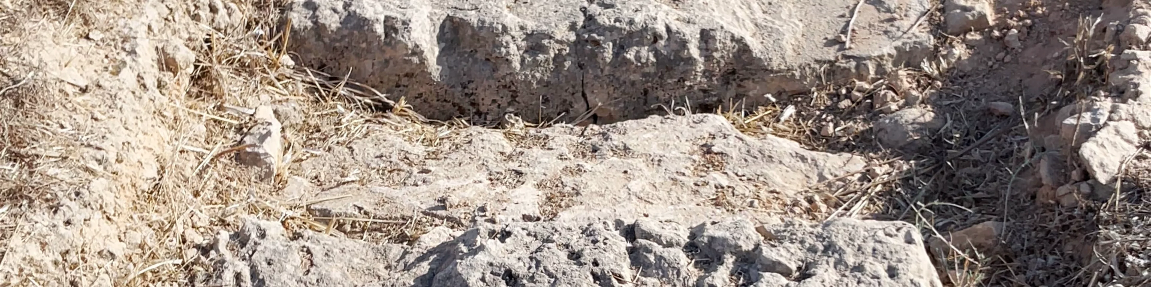 Roman Aqueduct