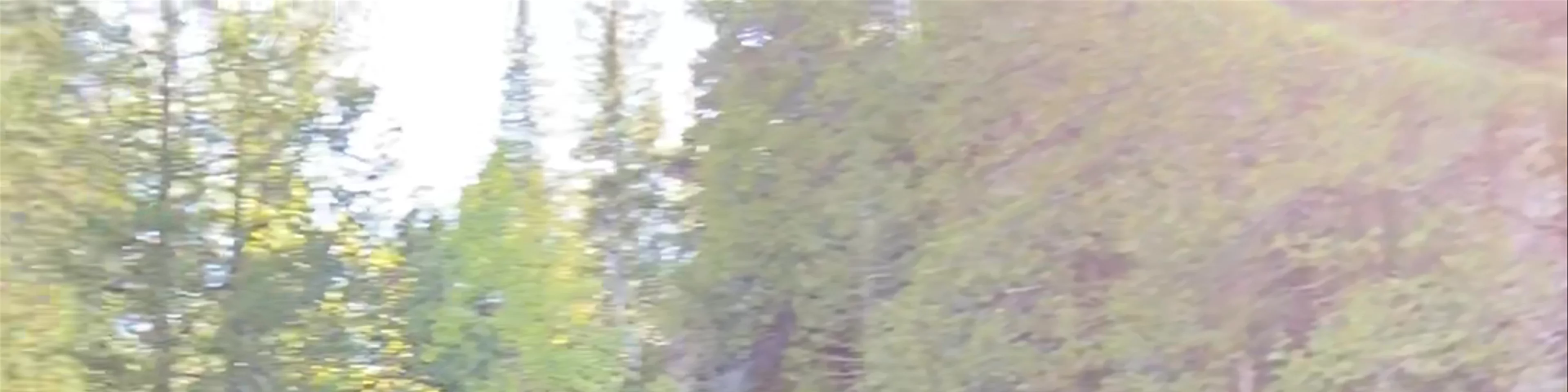 Caribou Falls 