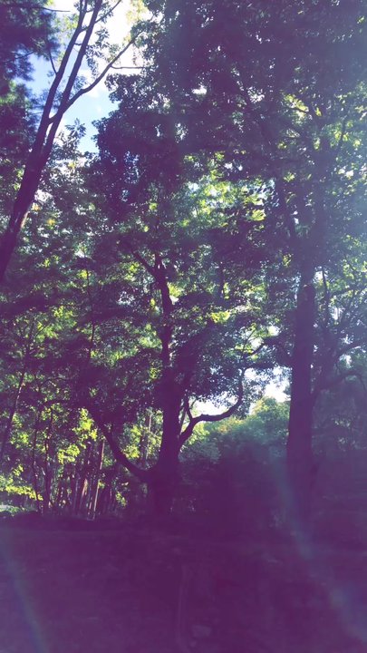 Race Brook Lodge - View from my hammock - Hotels Near Me - Sheffield, Massachusetts