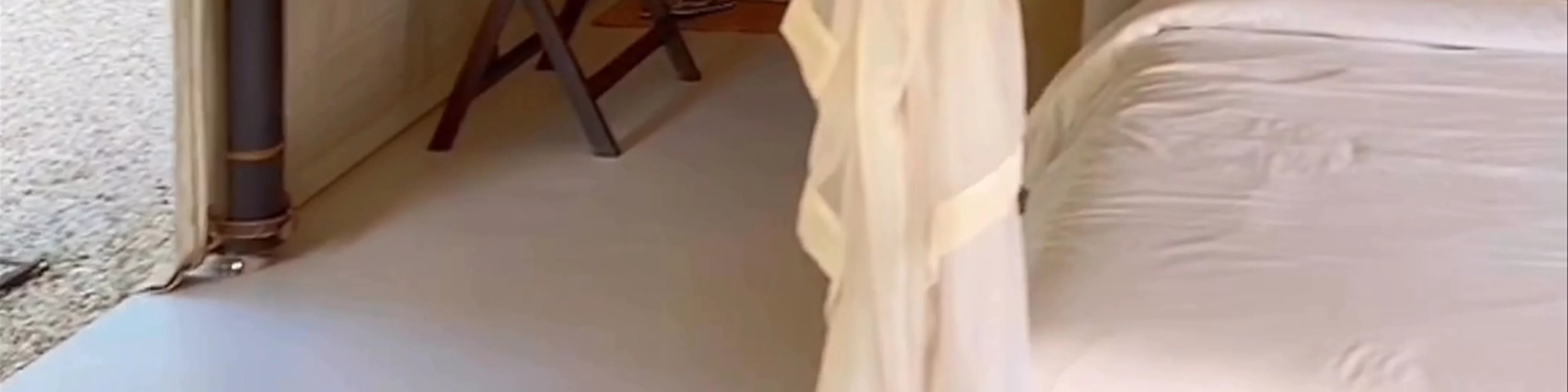 THE BEIGE