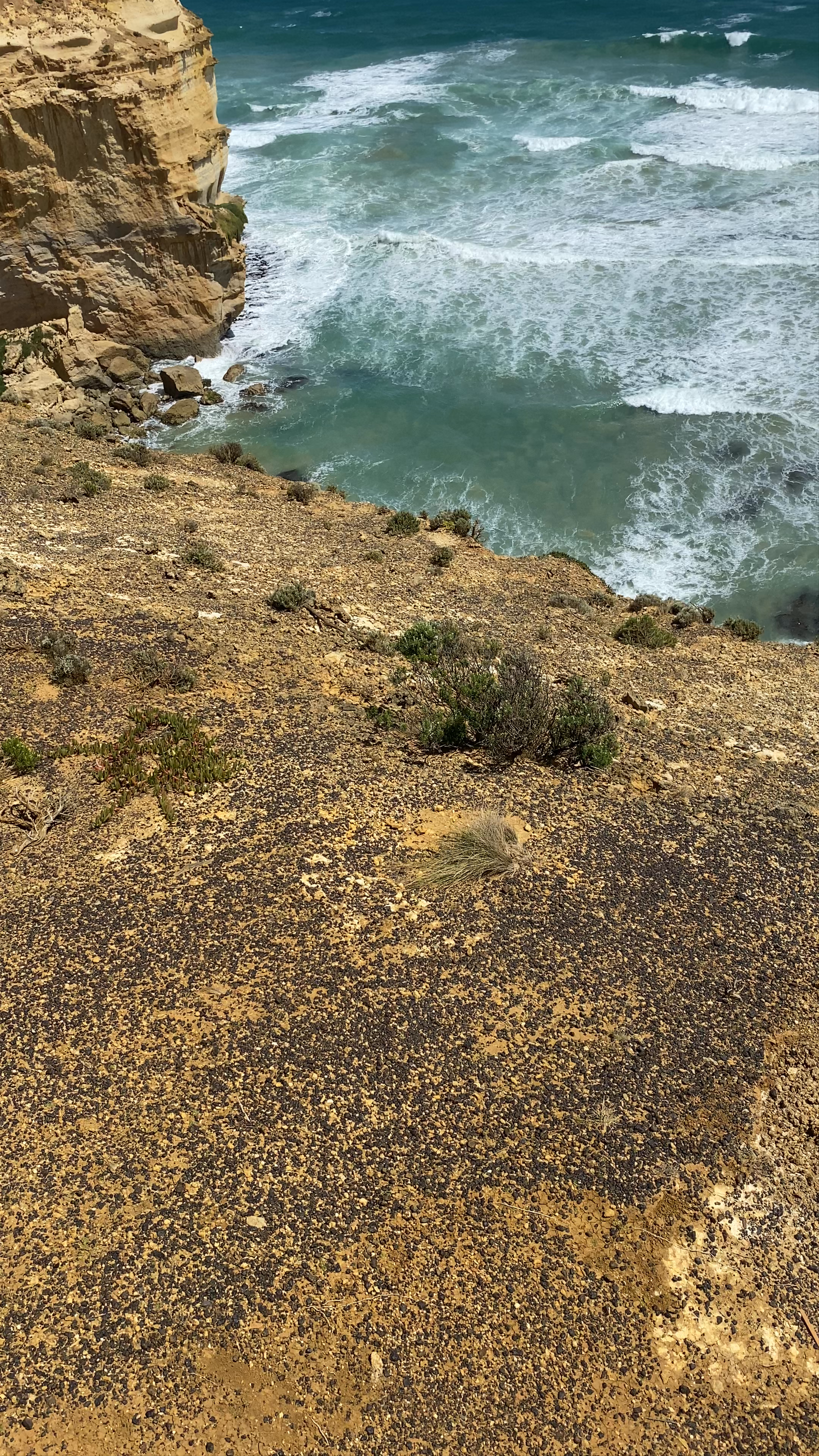 Great Ocean Road Coastal Views from Melbourne, Victoria