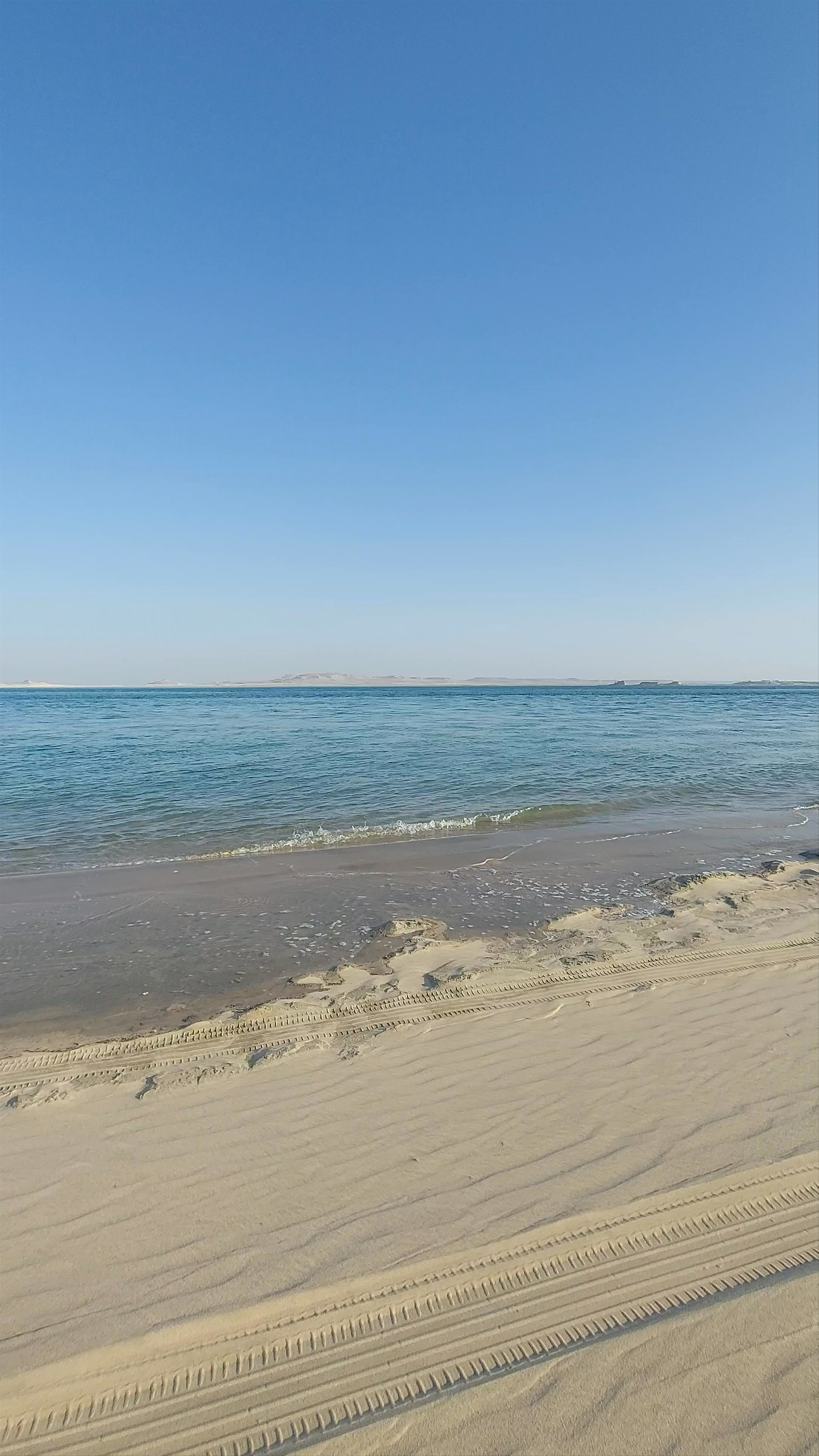 Desert Safari Doha | Inland Sea Tours Qatar