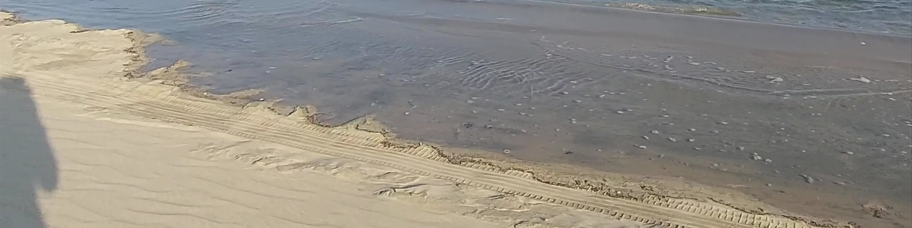 Desert Safari Doha | Inland Sea Tours Qatar